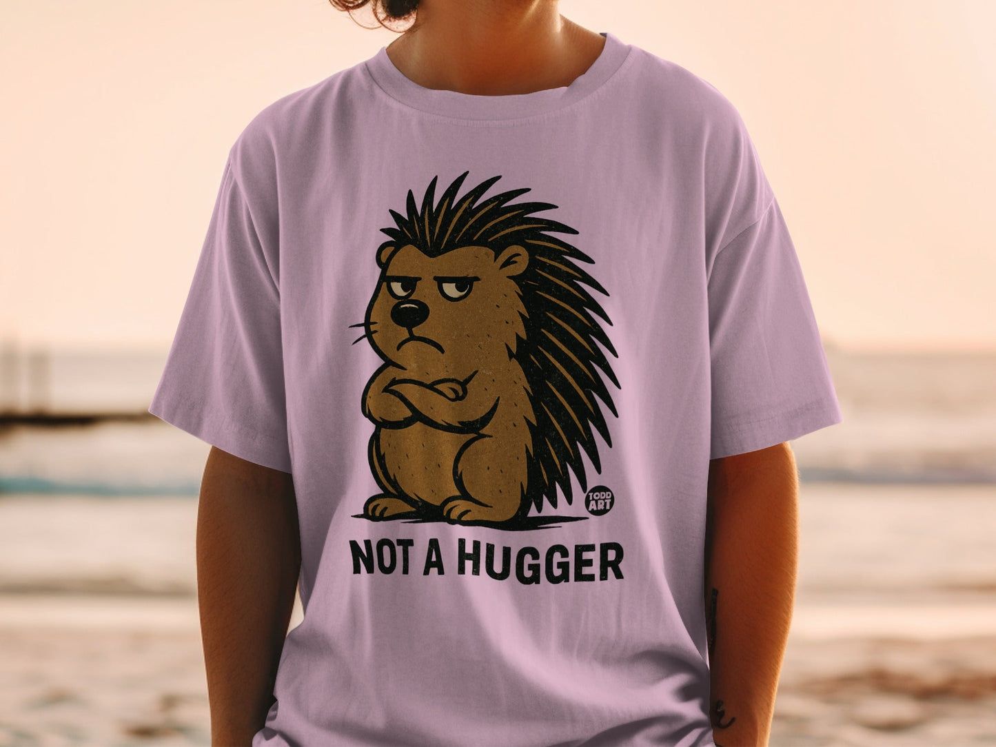 Not A Hugger Grumpy Hedgehog Graphic T-Shirt
