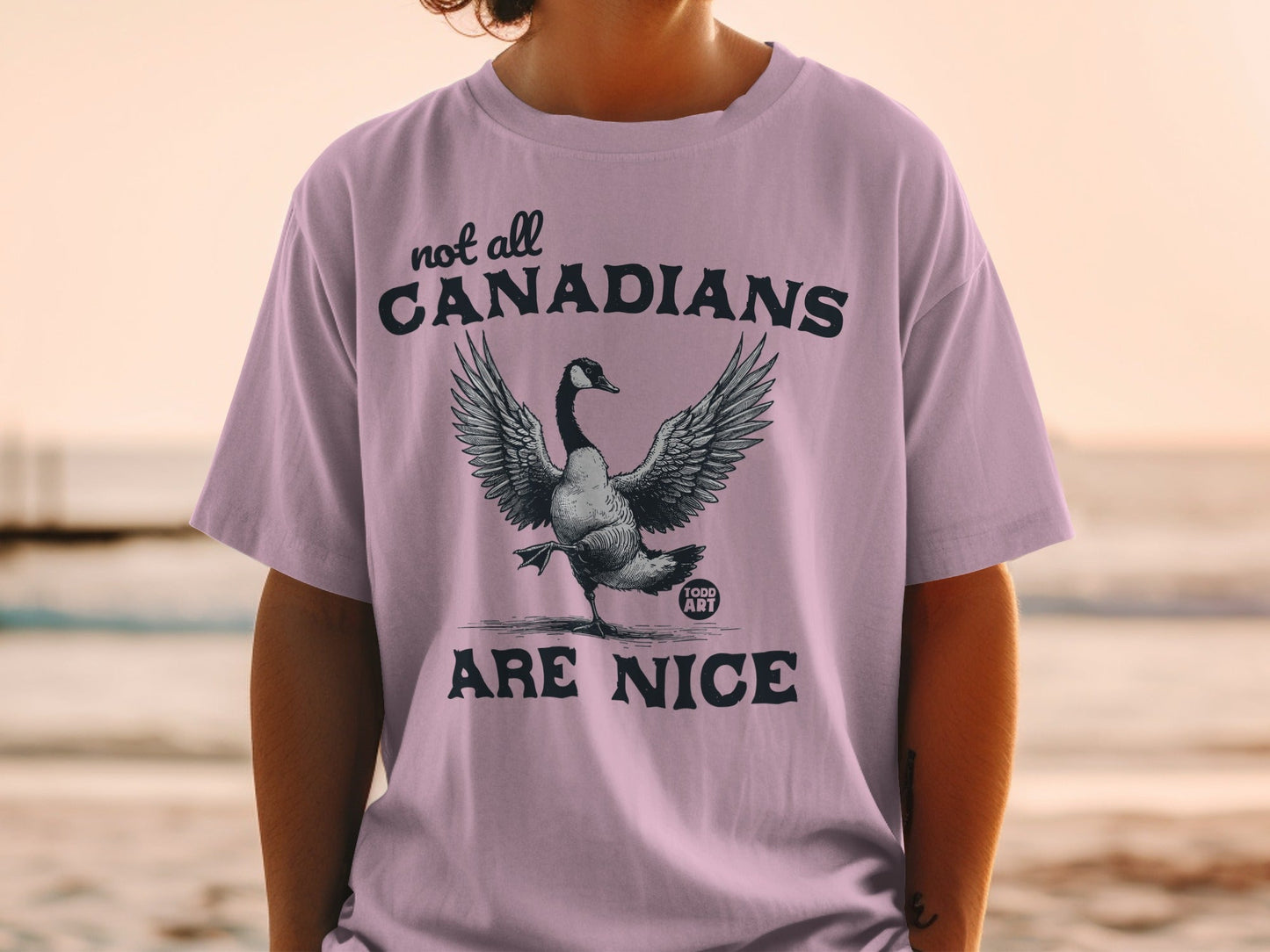 Not All Canadians Are Nice Statement T-Shirt