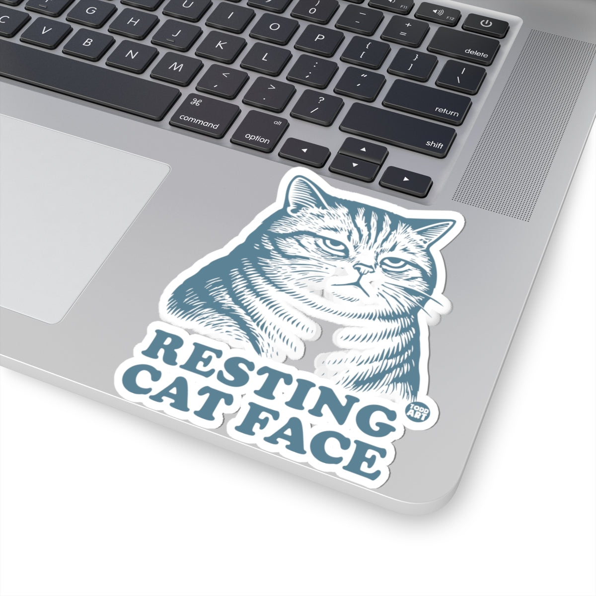 Resting Cat FaceTodd Art Sticker
