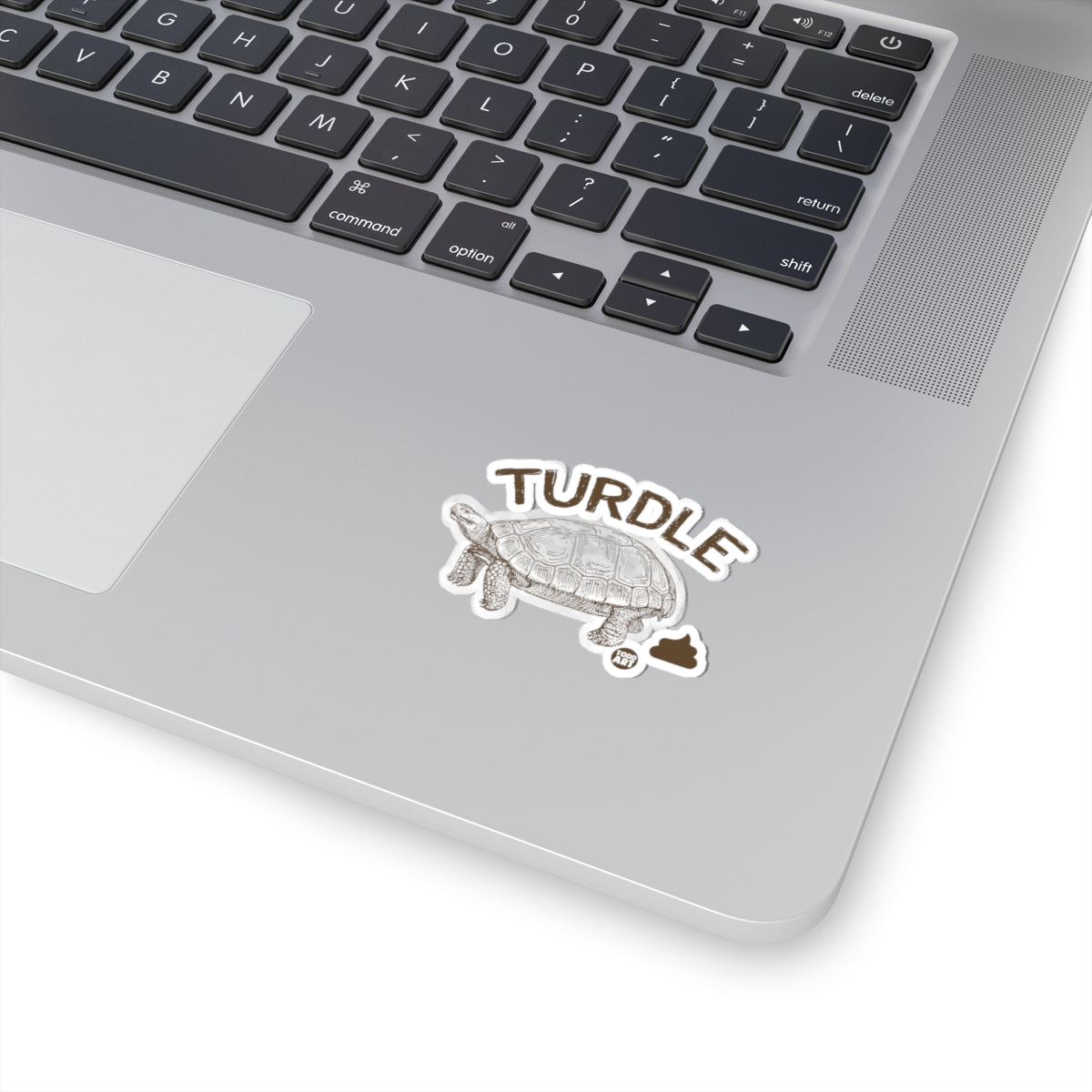 Turdle Todd Art Sticker