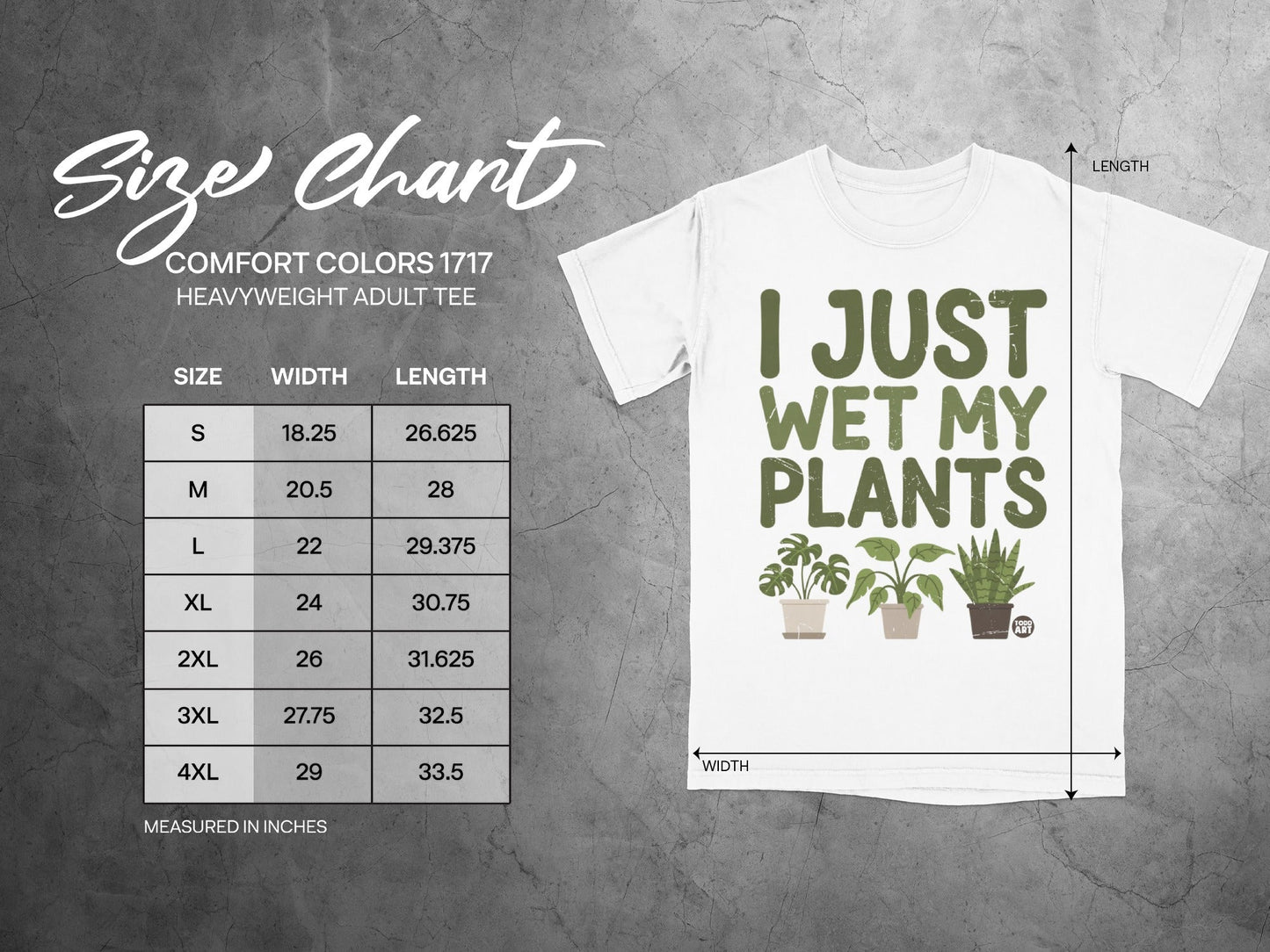 Comfort Colors 1717 size chart for heavyweight adult tee with plant graphic.