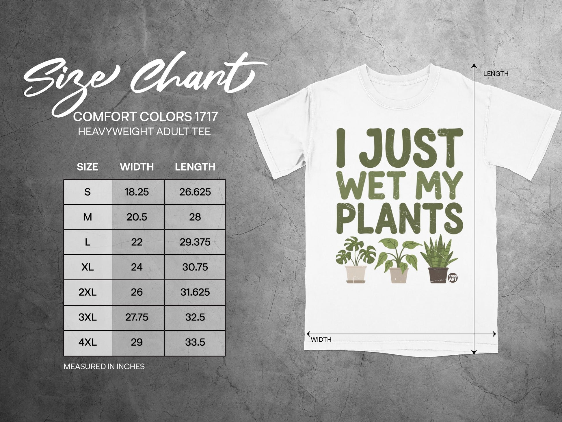 Comfort Colors 1717 size chart for heavyweight adult tee with plant graphic.