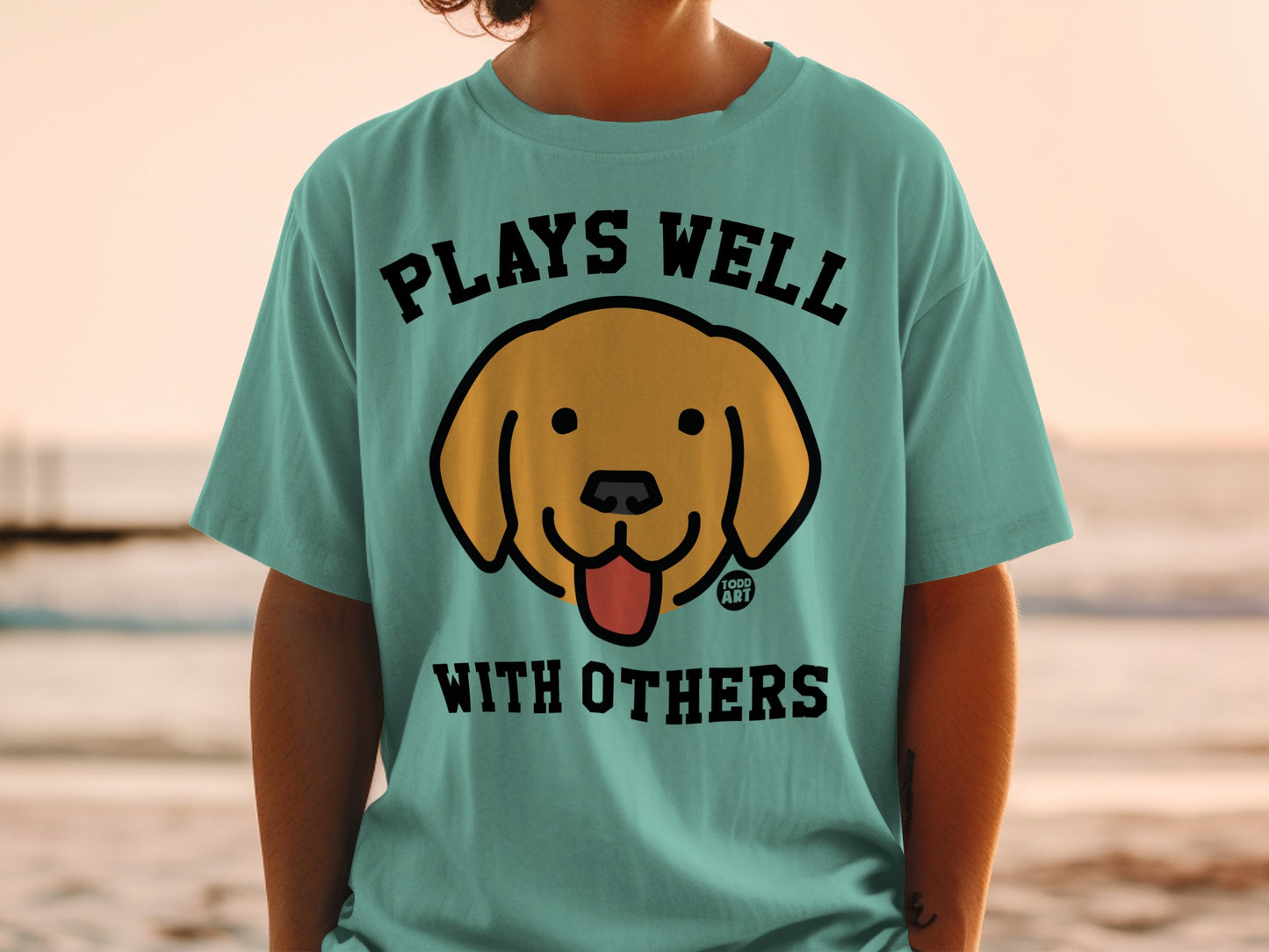 Plays Well With Others Graphic T-Shirt