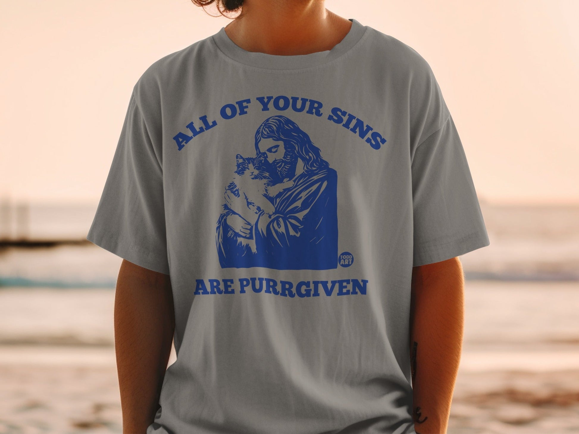 Grey t-shirt with blue graphic of Jesus holding a cat and the text "ALL OF YOUR SINS ARE PURRGIVEN".