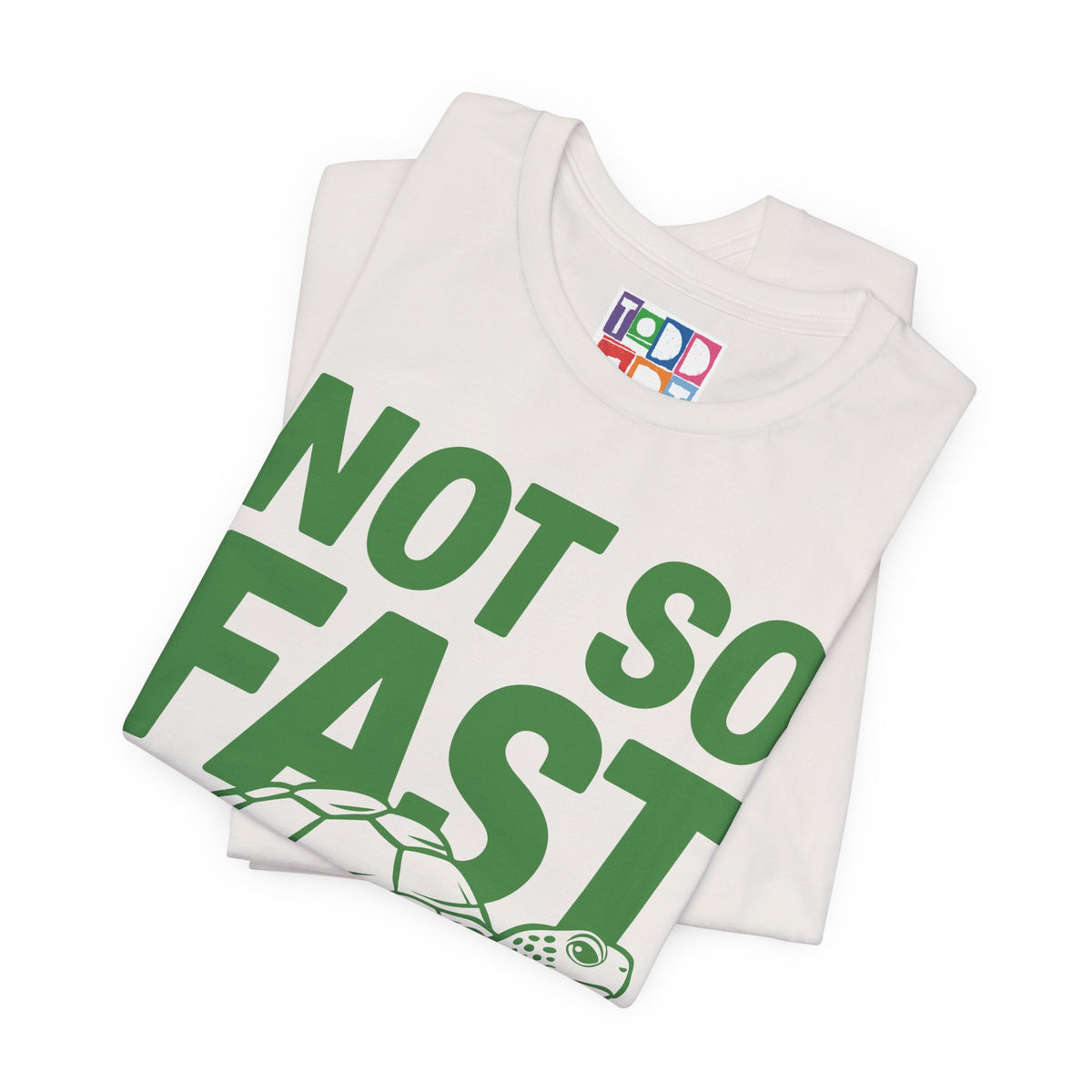 not-so-fast-turtle