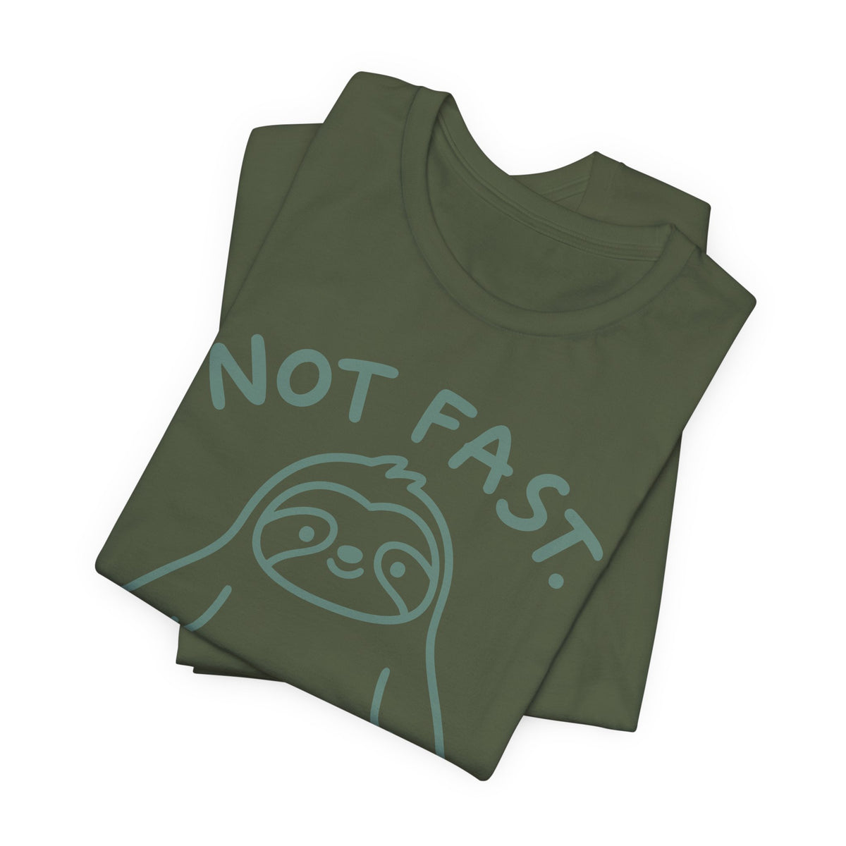 not-fast-furious