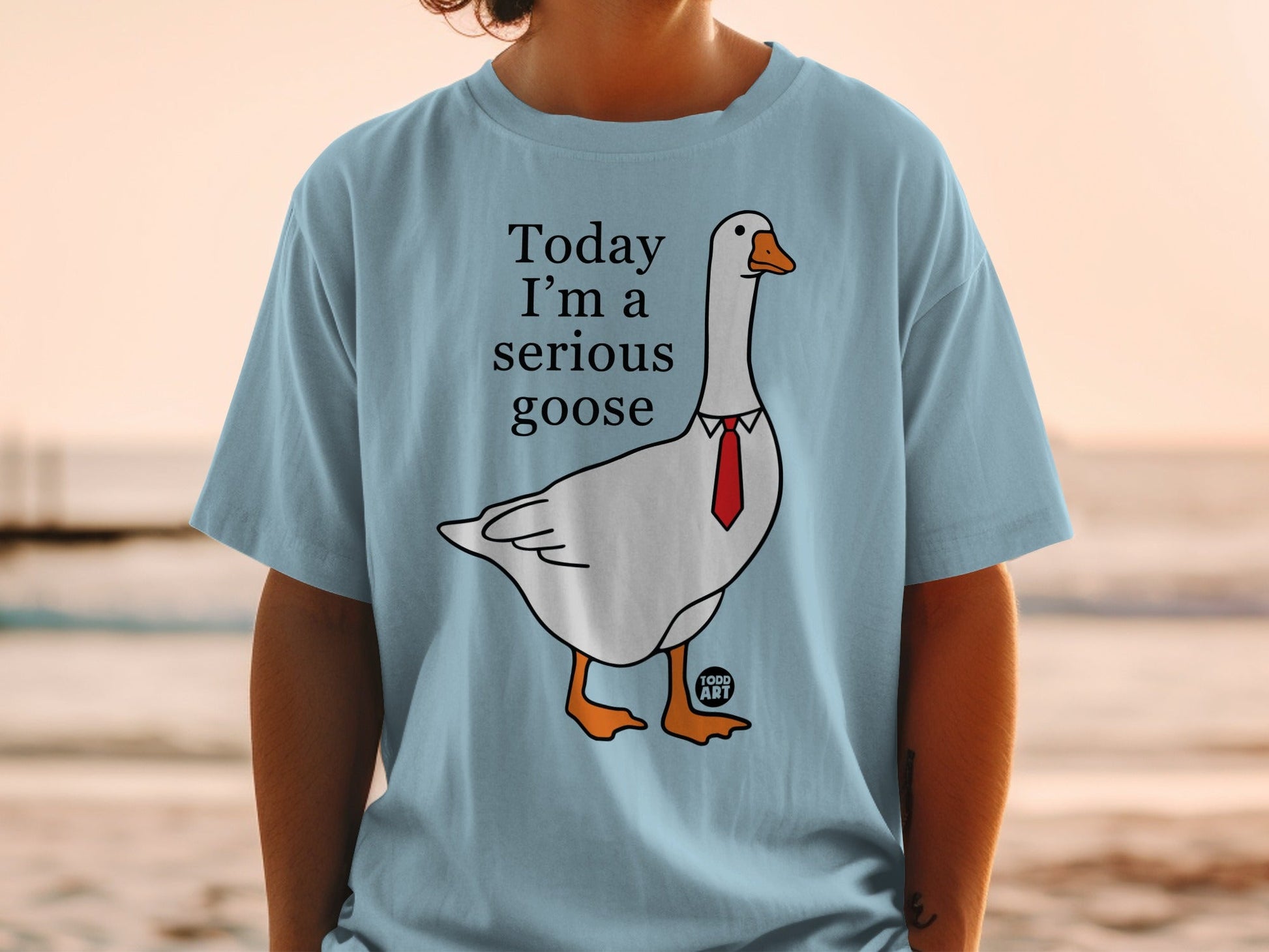 Today I'm a Serious Goose Graphic Tee