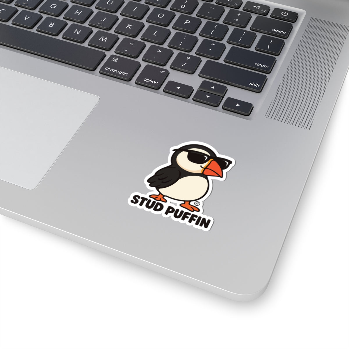 stud-puffin-cute
