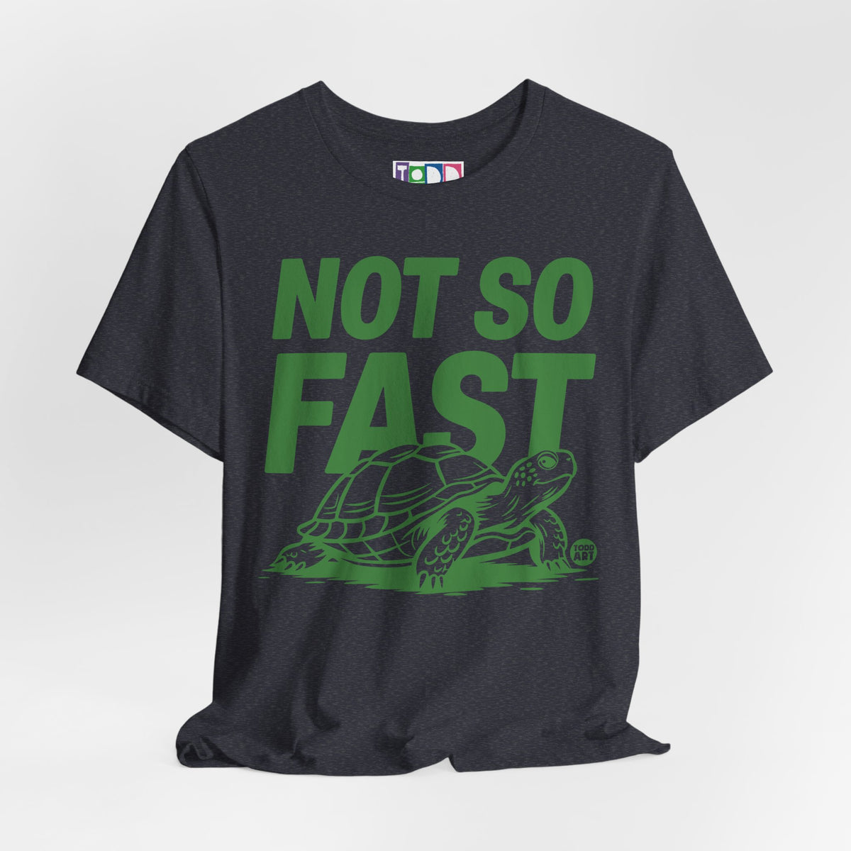not-so-fast-turtle