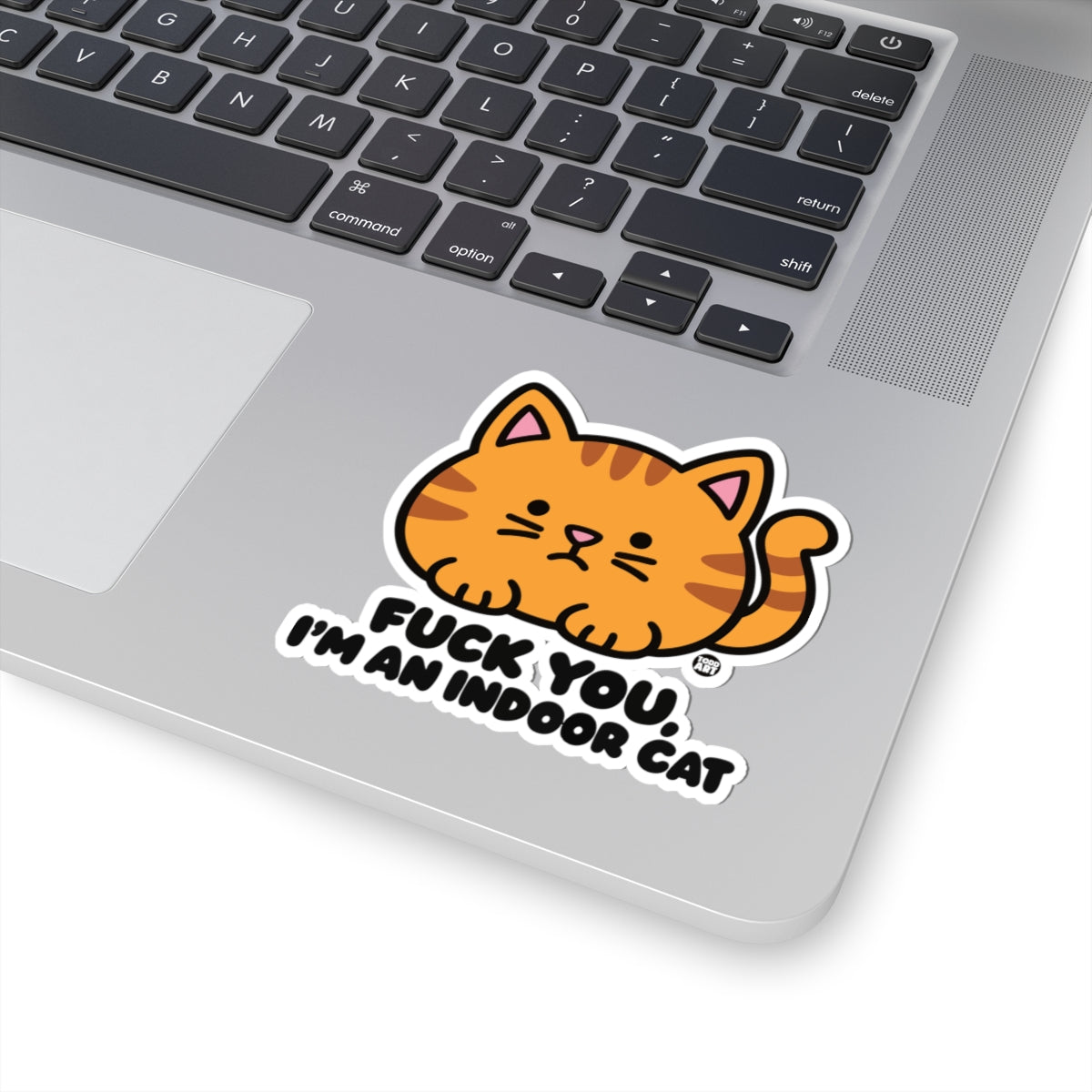 fuck-you-indoor-cat-cute