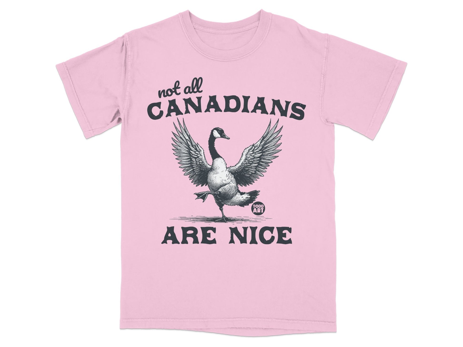 Not All Canadians Are Nice Humorous Goose Shirt