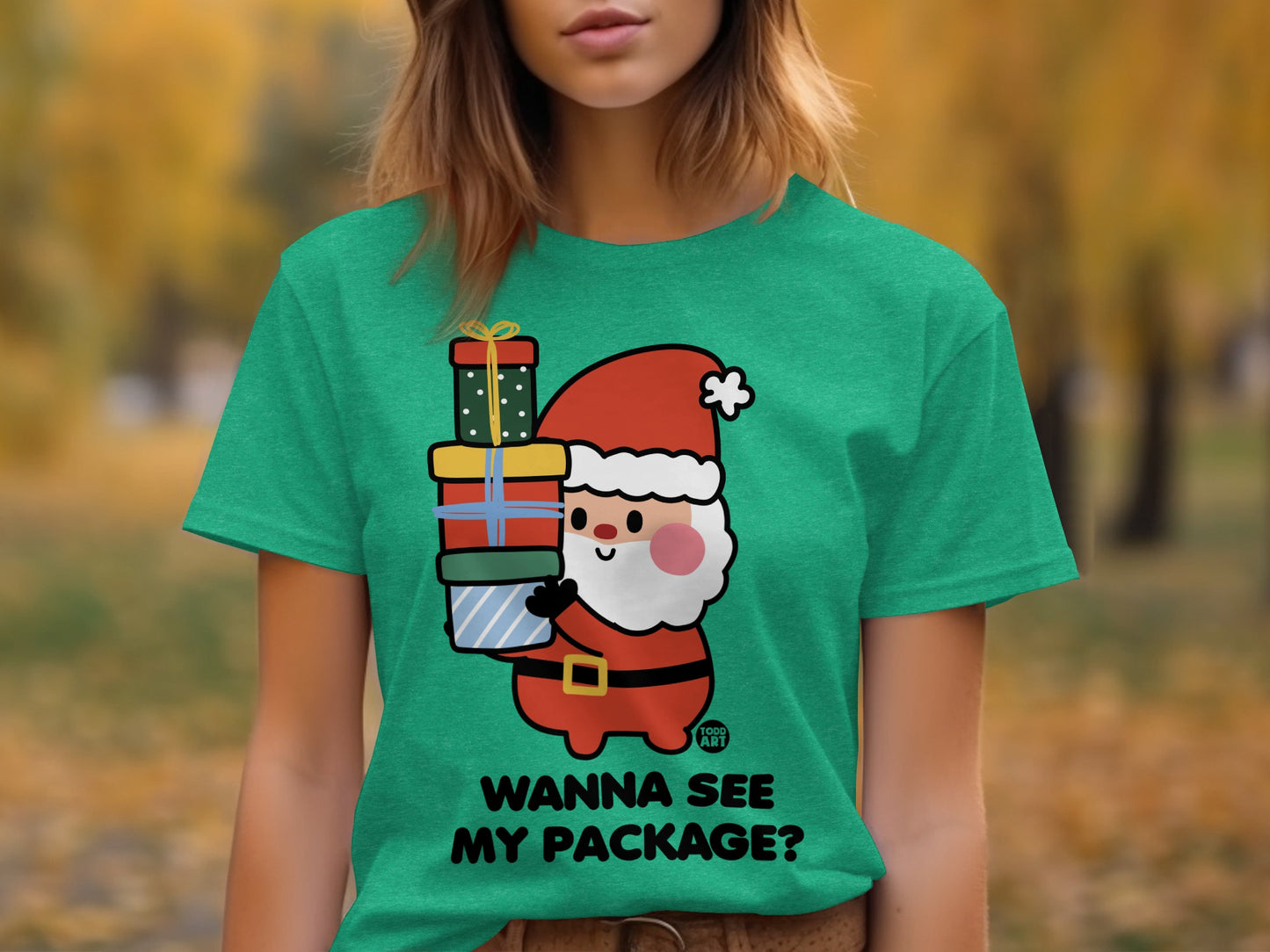Christmas Santa Wanna See My Package Graphic Tee