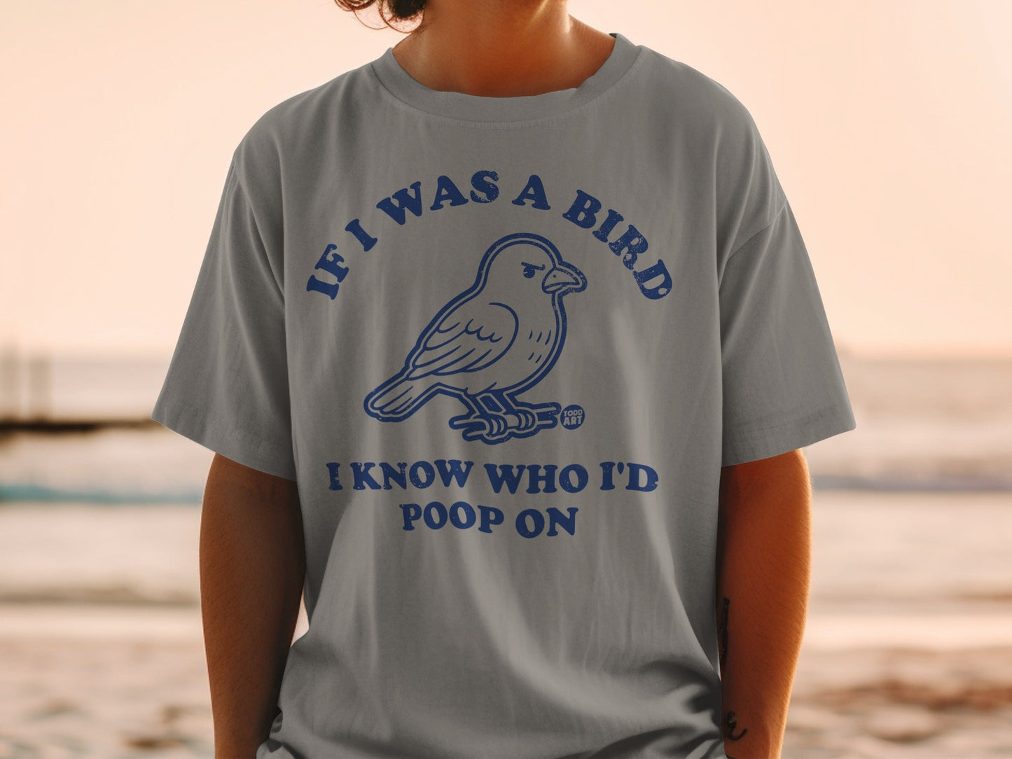 If I Was A Bird I Know Who I'd Poop On Shirt