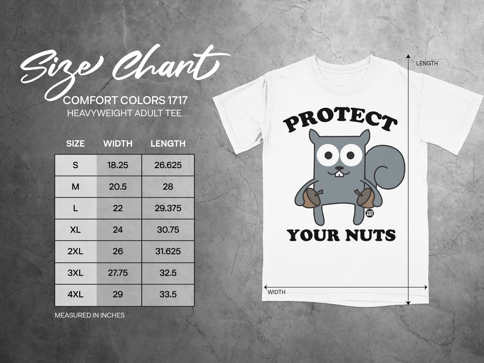 Size chart for Comfort Colors 1717 heavyweight adult tee with squirrel graphic.