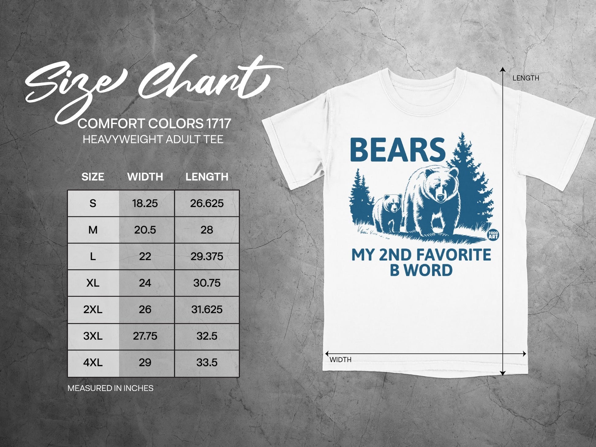 Bears My 2nd Favorite B Word Graphic Tee