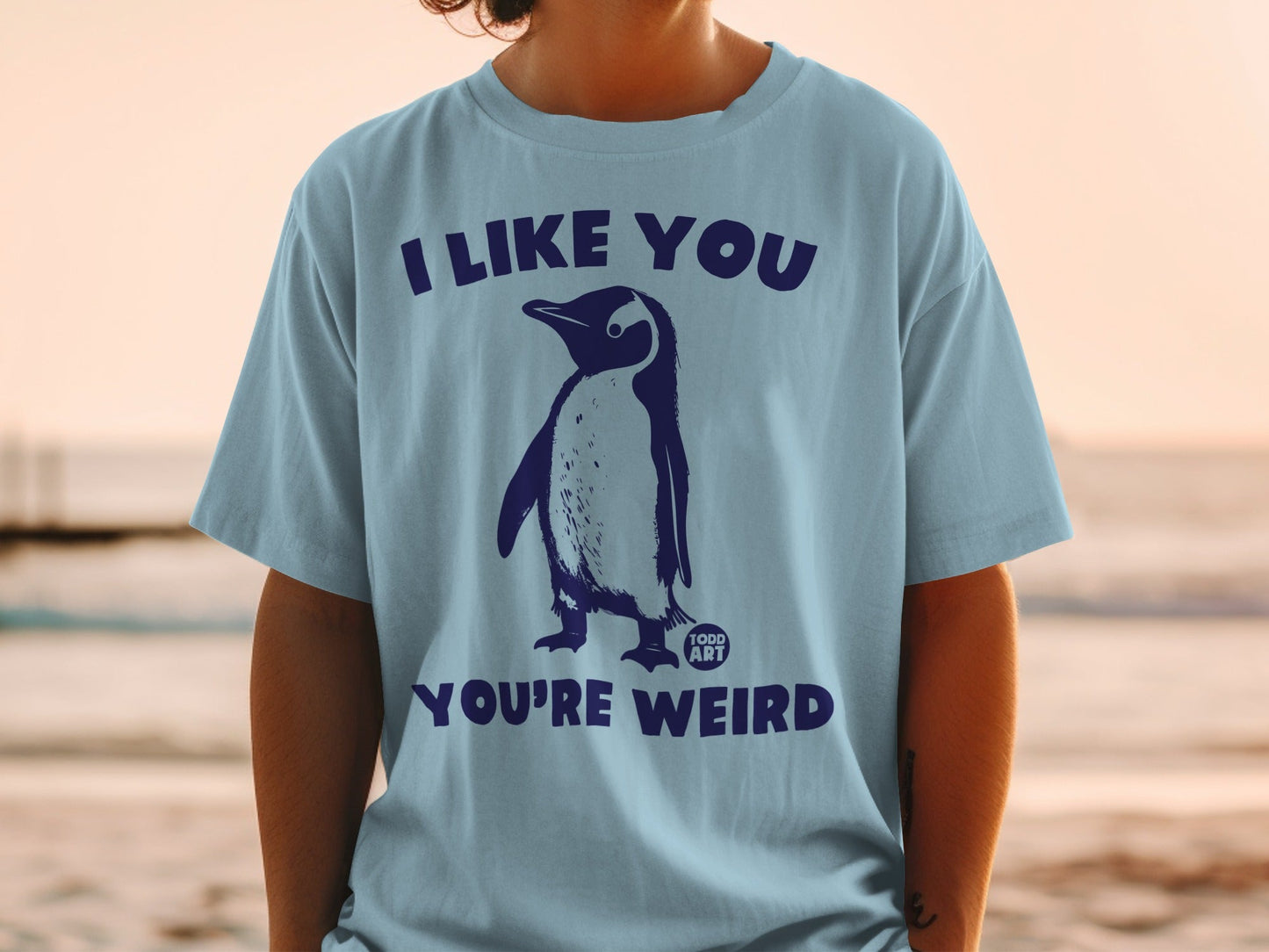 Blue t-shirt with a penguin and "I LIKE YOU YOU'RE WEIRD" text.