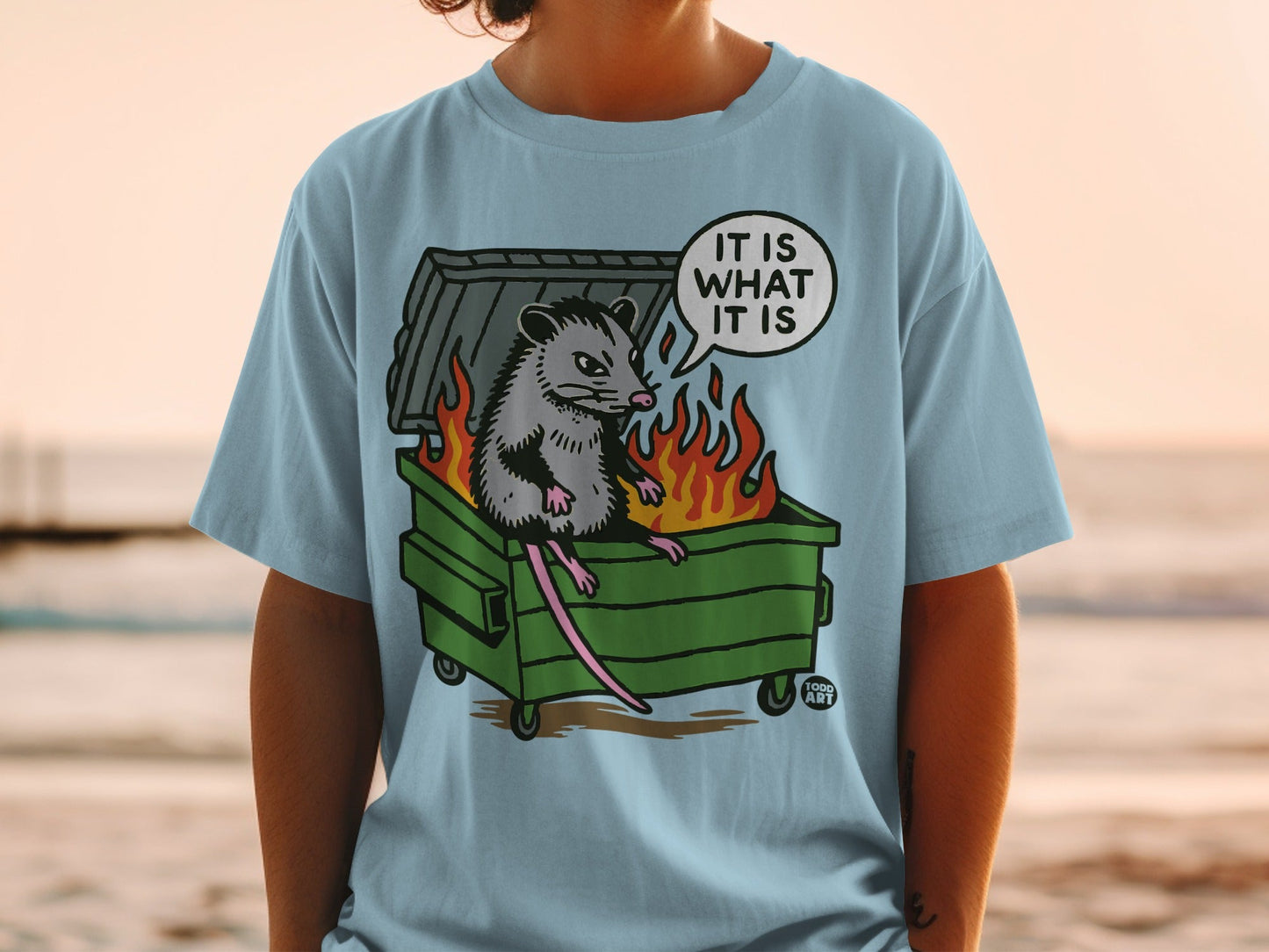 Opossum in a burning dumpster with text bubble "It is what it is."