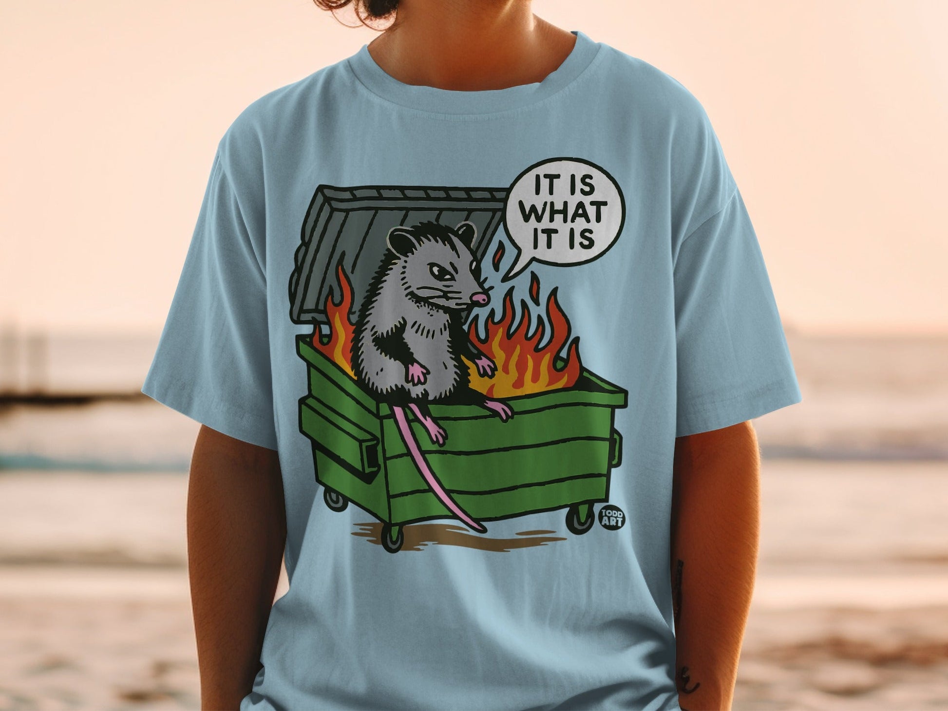 Opossum in a burning dumpster with text bubble "It is what it is."