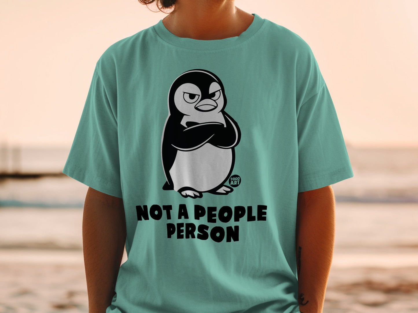 Grumpy Penguin T-Shirts, Not A People Person Tee, Funny Introvert Gift, Sarcastic Anti-Social Humor Shirt, Cute Animal Lover