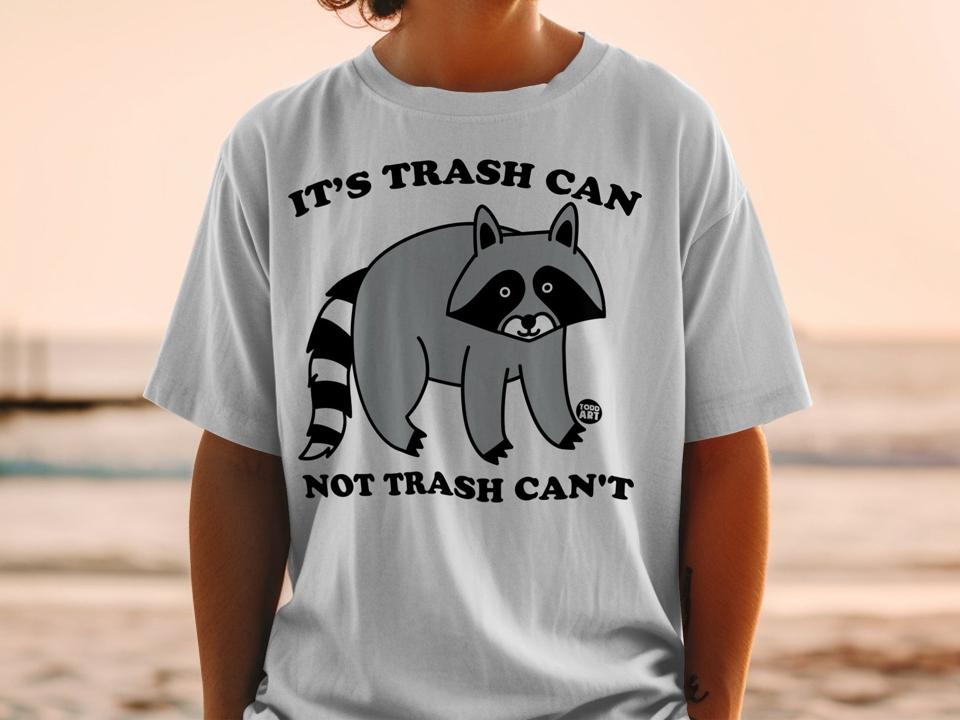 T-shirt with raccoon graphic and text "IT'S TRASH CAN, NOT TRASH CAN'T".