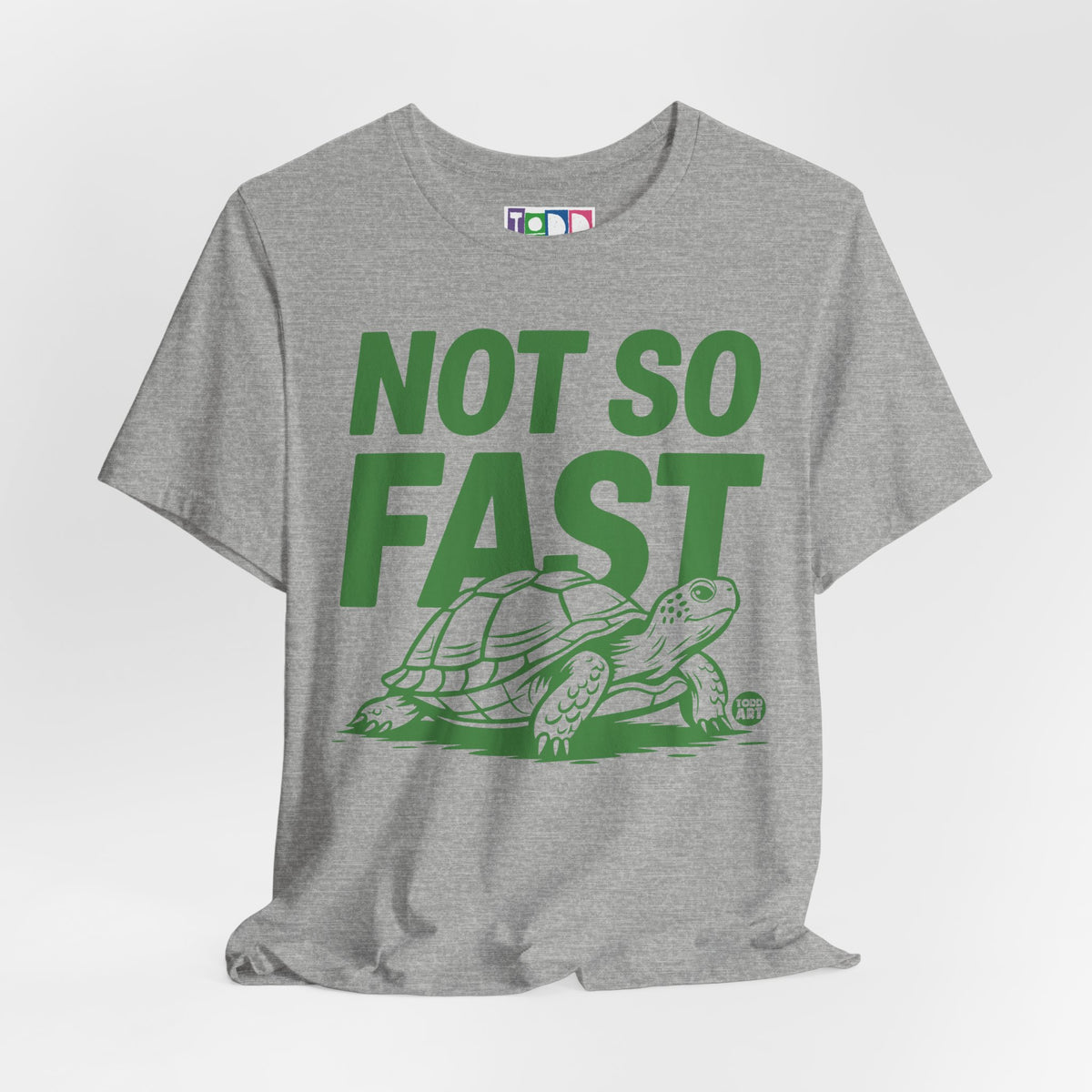 not-so-fast-turtle