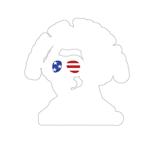 American Flag Einstein Glasses Silhouette Sticker