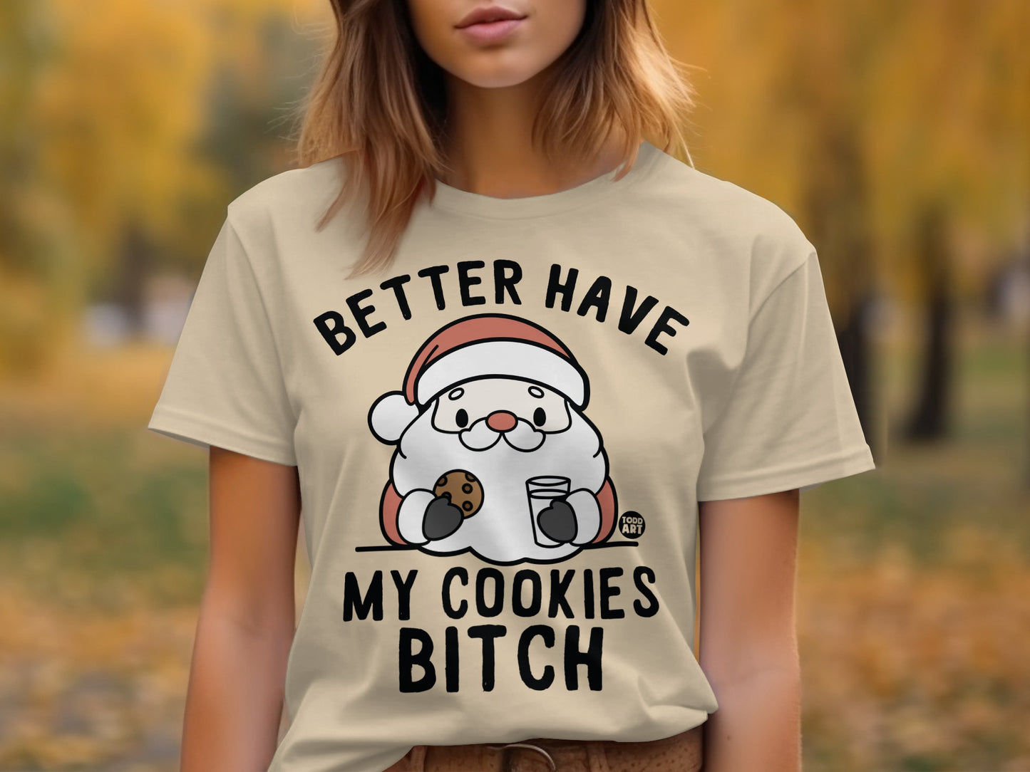 Funny Santa Graphic Tee with Humor for Adults