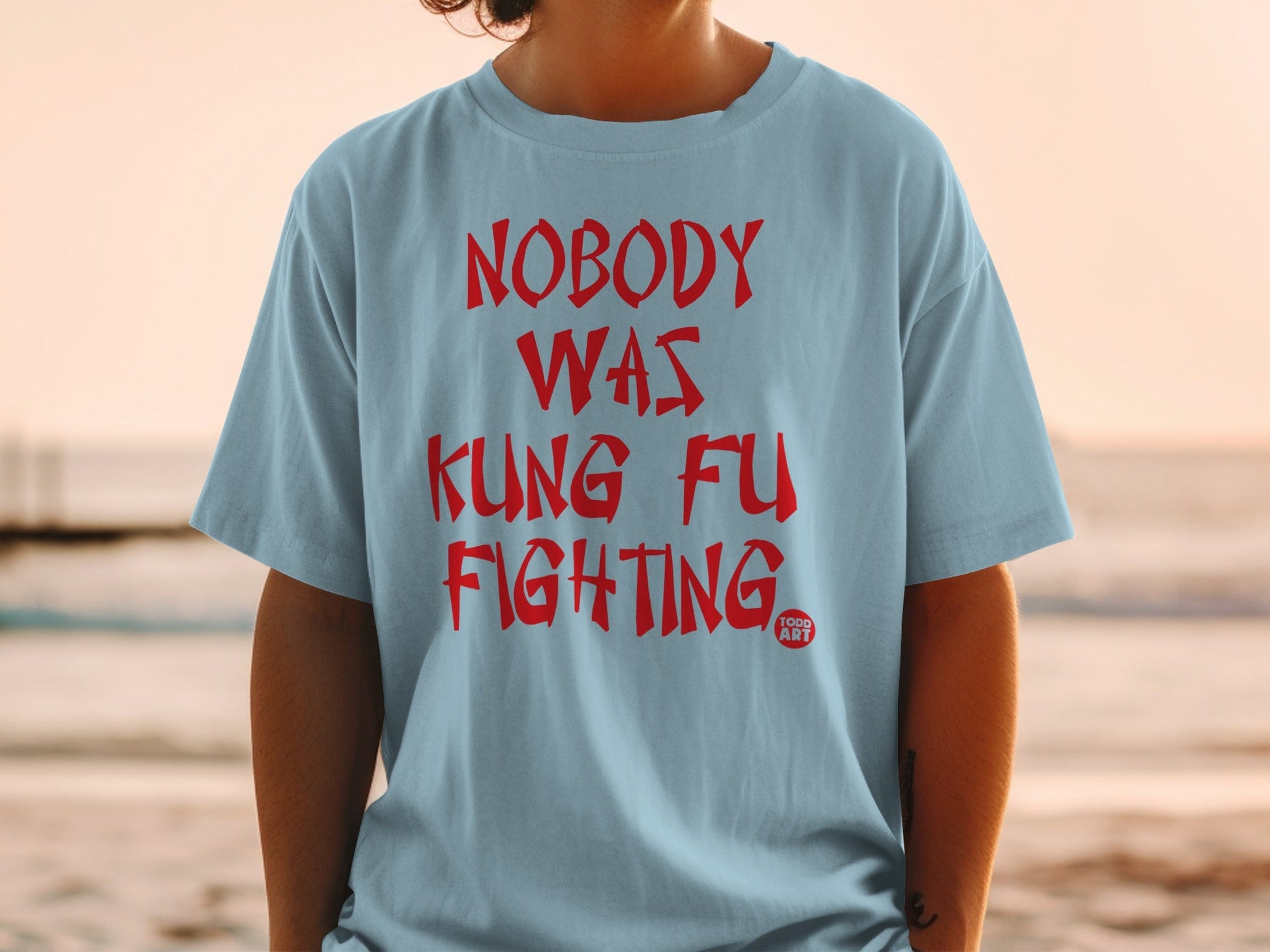 Nobody Was Kung Fu Fighting T-Shirt