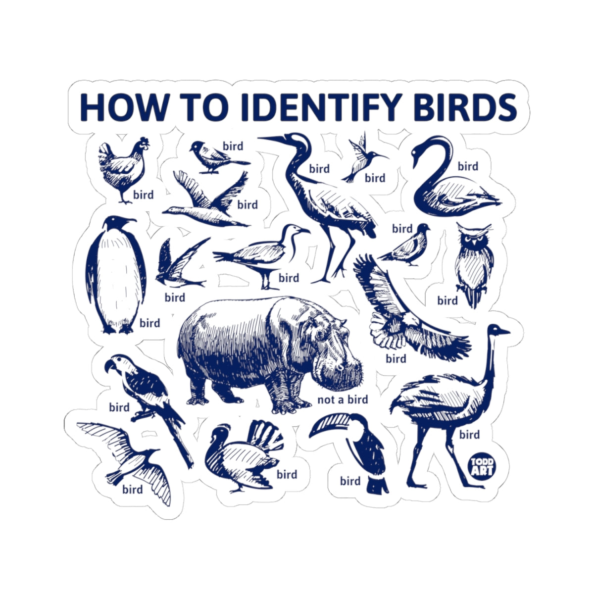 Bird Identification GuideTodd Art Sticker