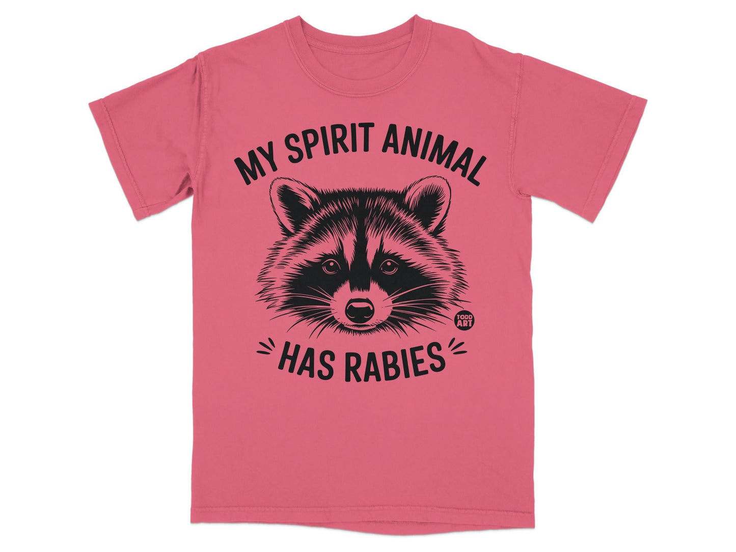 T-shirt with a raccoon graphic and text "MY SPIRIT ANIMAL HAS RABIES".