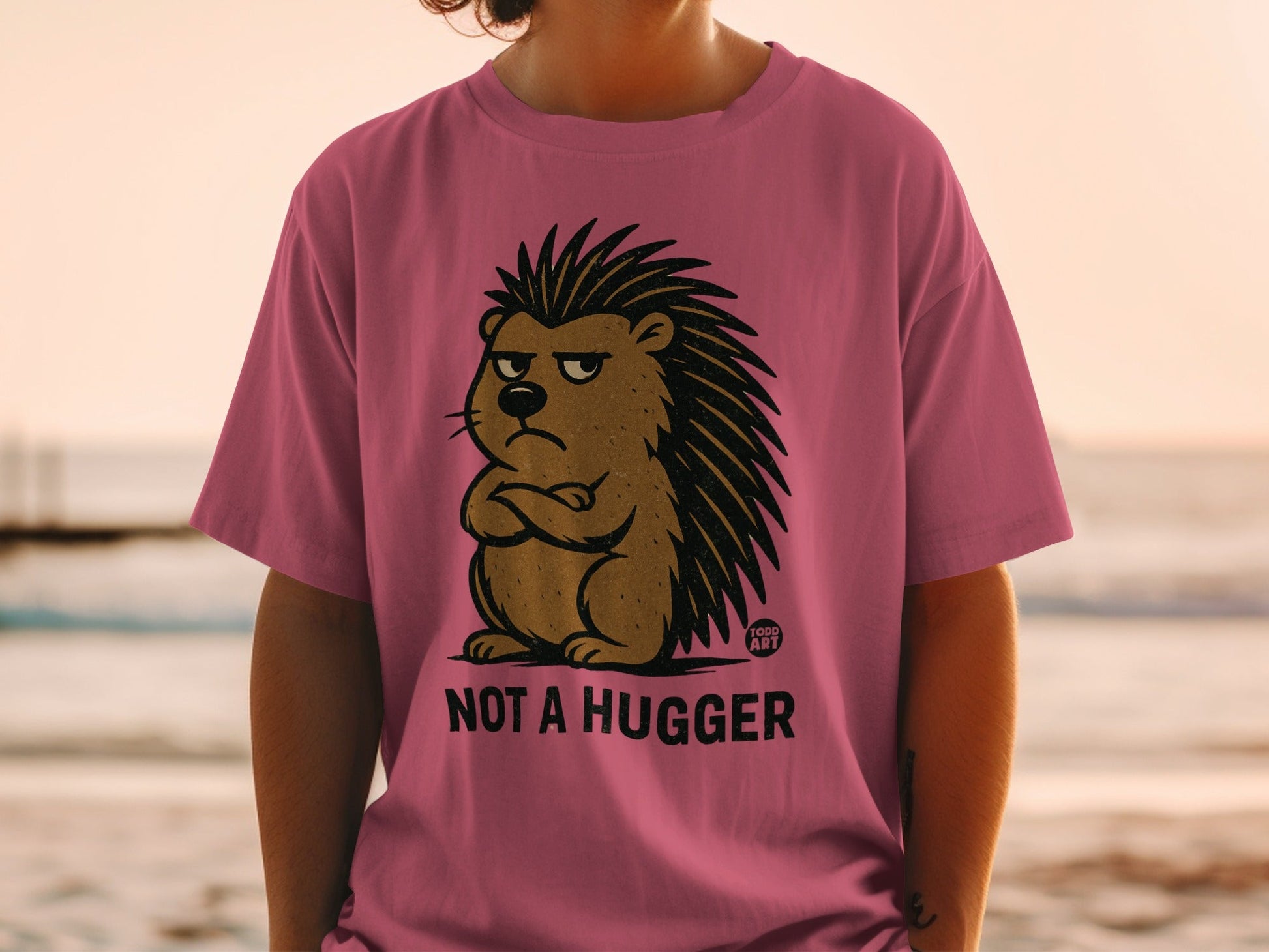 Not A Hugger Hedgehog Graphic Tee Shirt Product