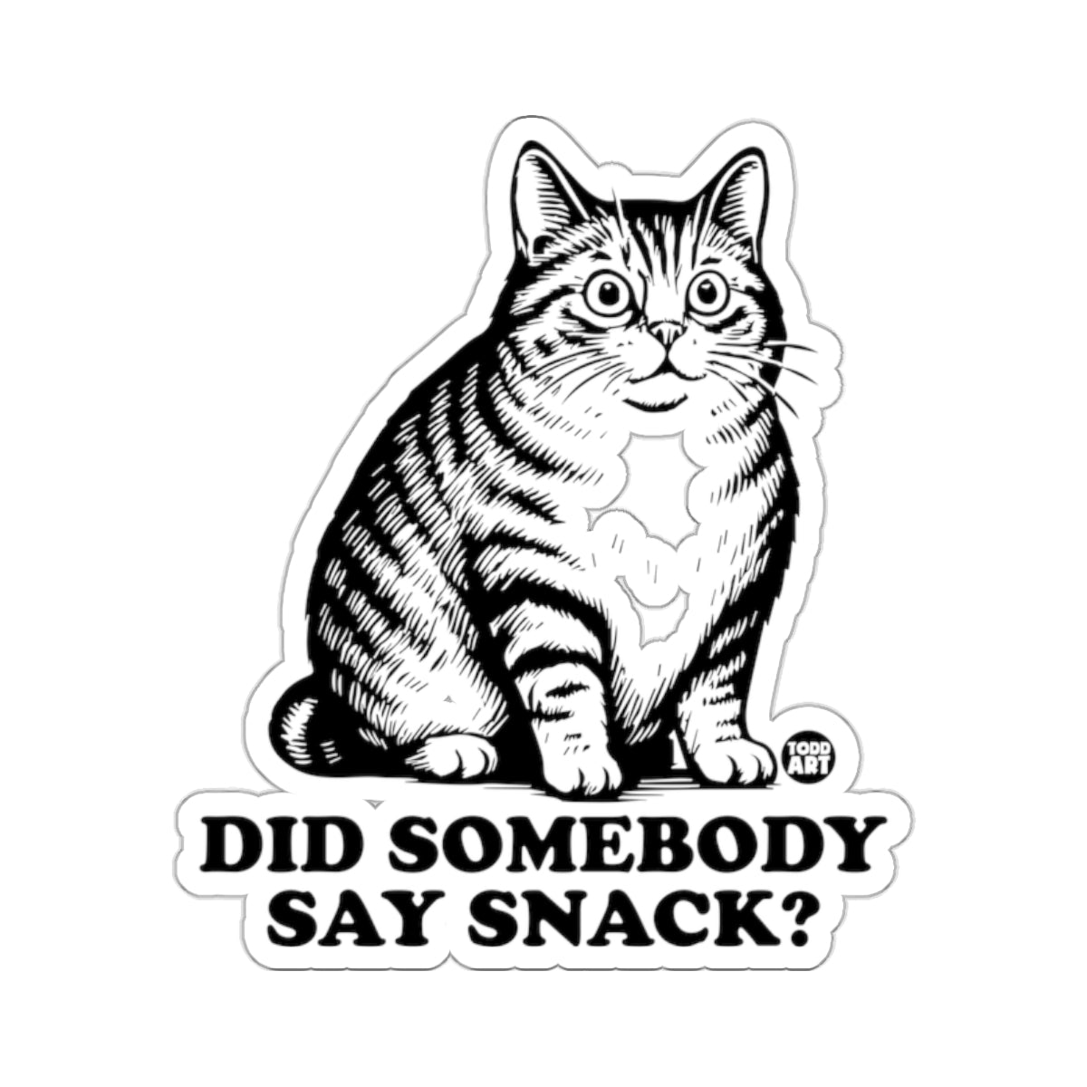 Curious Cat Did Somebody Say Snack Funny Animal 