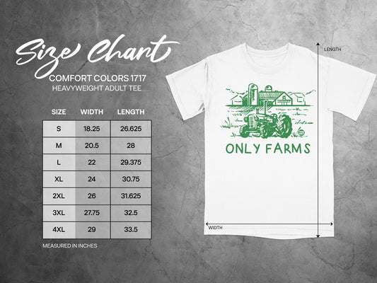 ONLY FARMS Comfort Colors 1717 T-shirt product type