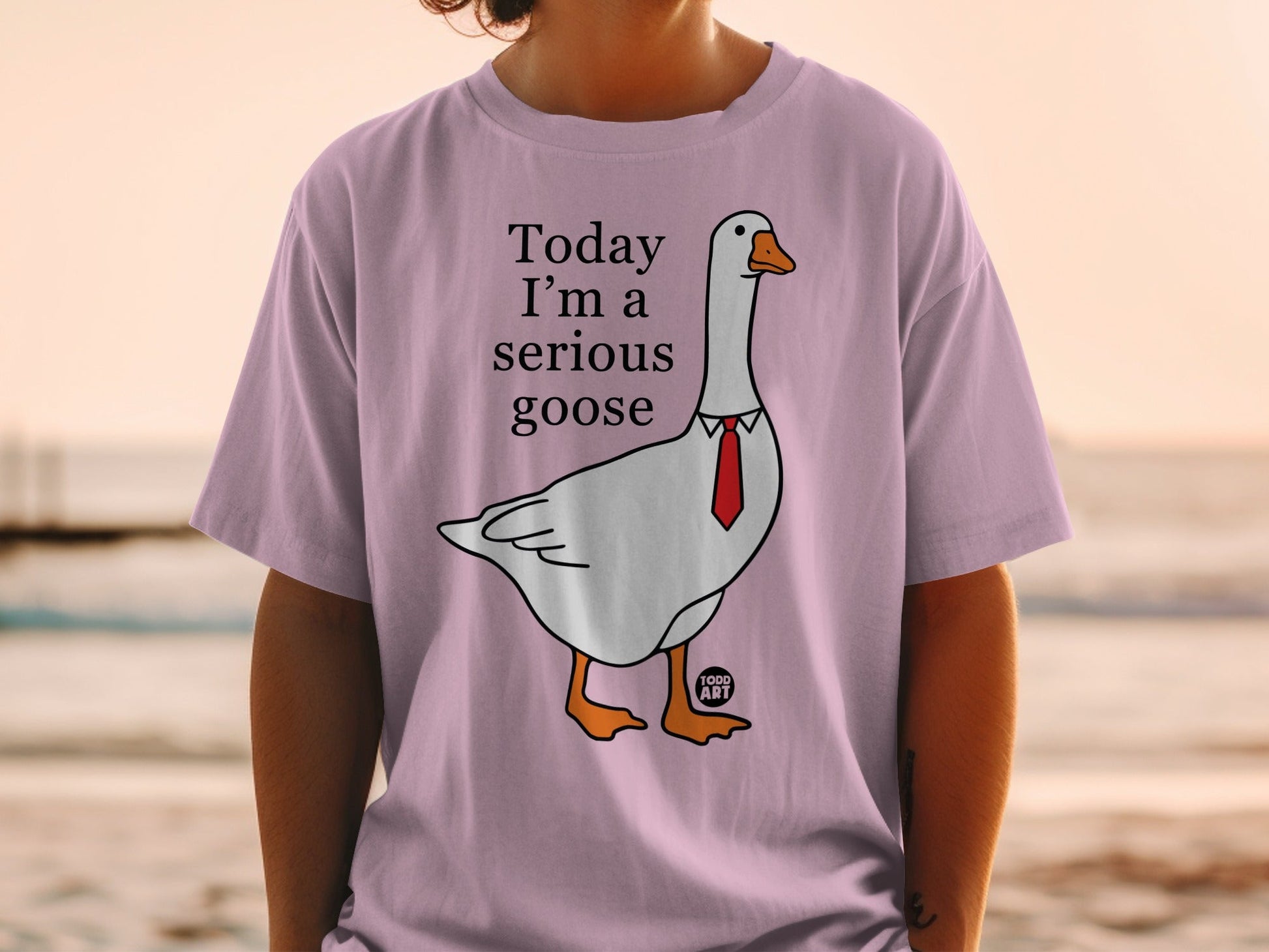 Today I'm a Serious Goose Funny Graphic Shirt