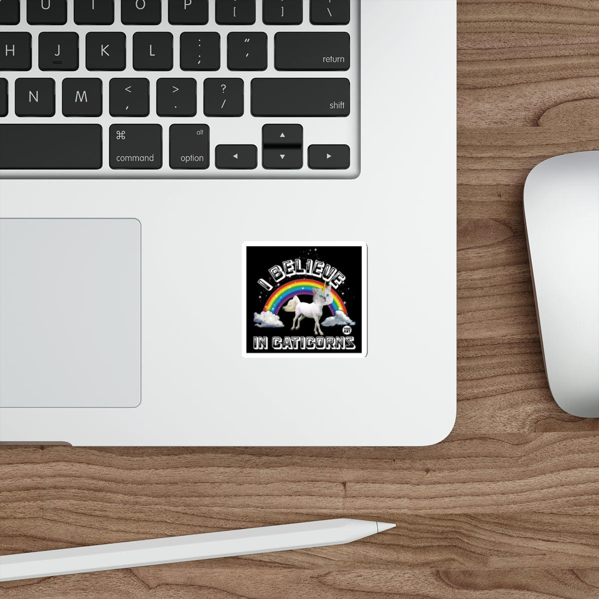 I Believe In Caticorns Rainbow Cat Unicorn Sticker
