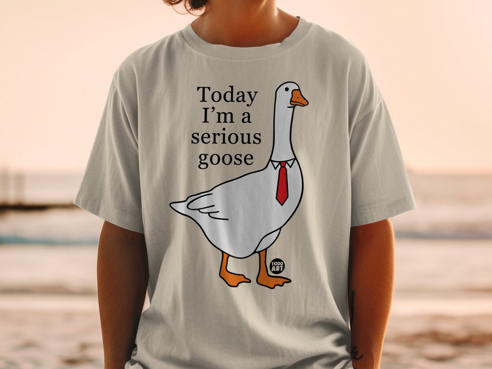 Today I'm a Serious Goose Funny Graphic T-shirt