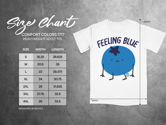 Comfort Colors 1717 Feeling Blue Adult Tee product type