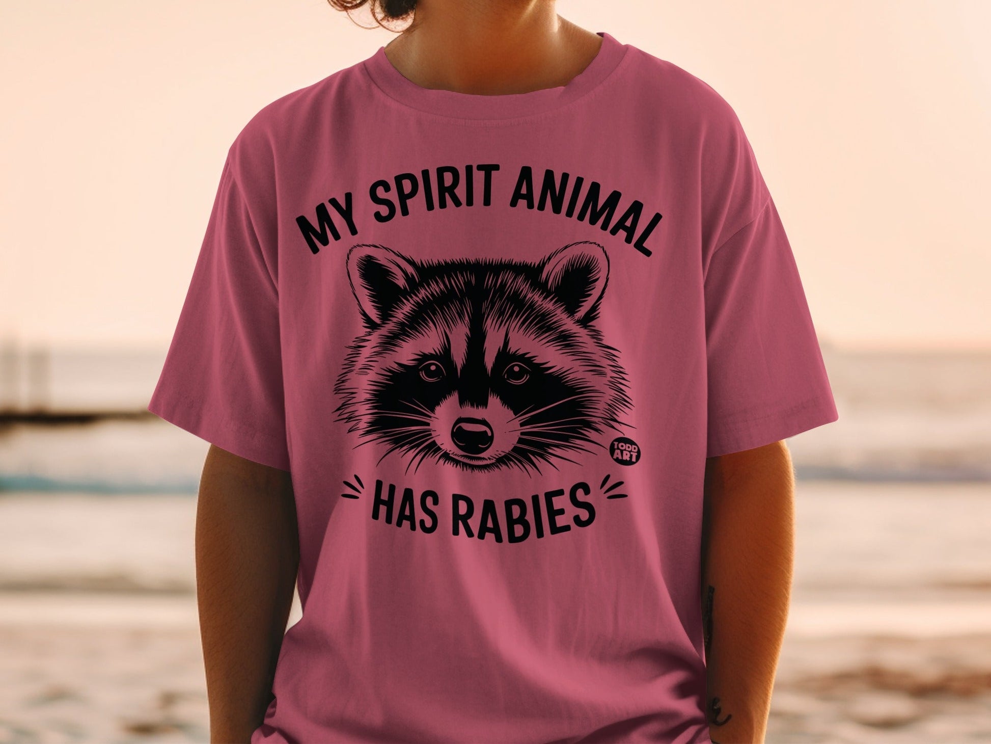 T-shirt with raccoon graphic and text "MY SPIRIT ANIMAL HAS RABIES".