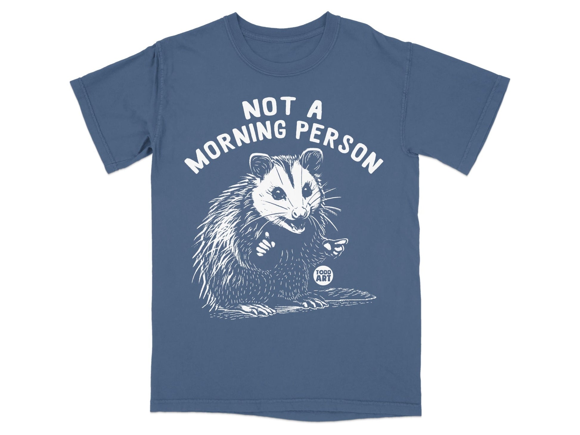 Blue t-shirt with white text "NOT A MORNING PERSON" and an illustration of a possum.