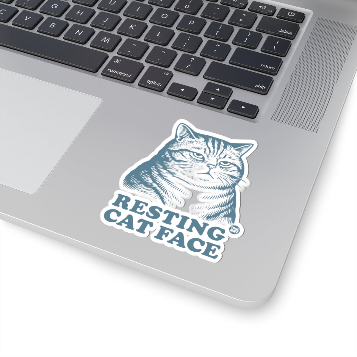 Resting Cat FaceTodd Art Sticker