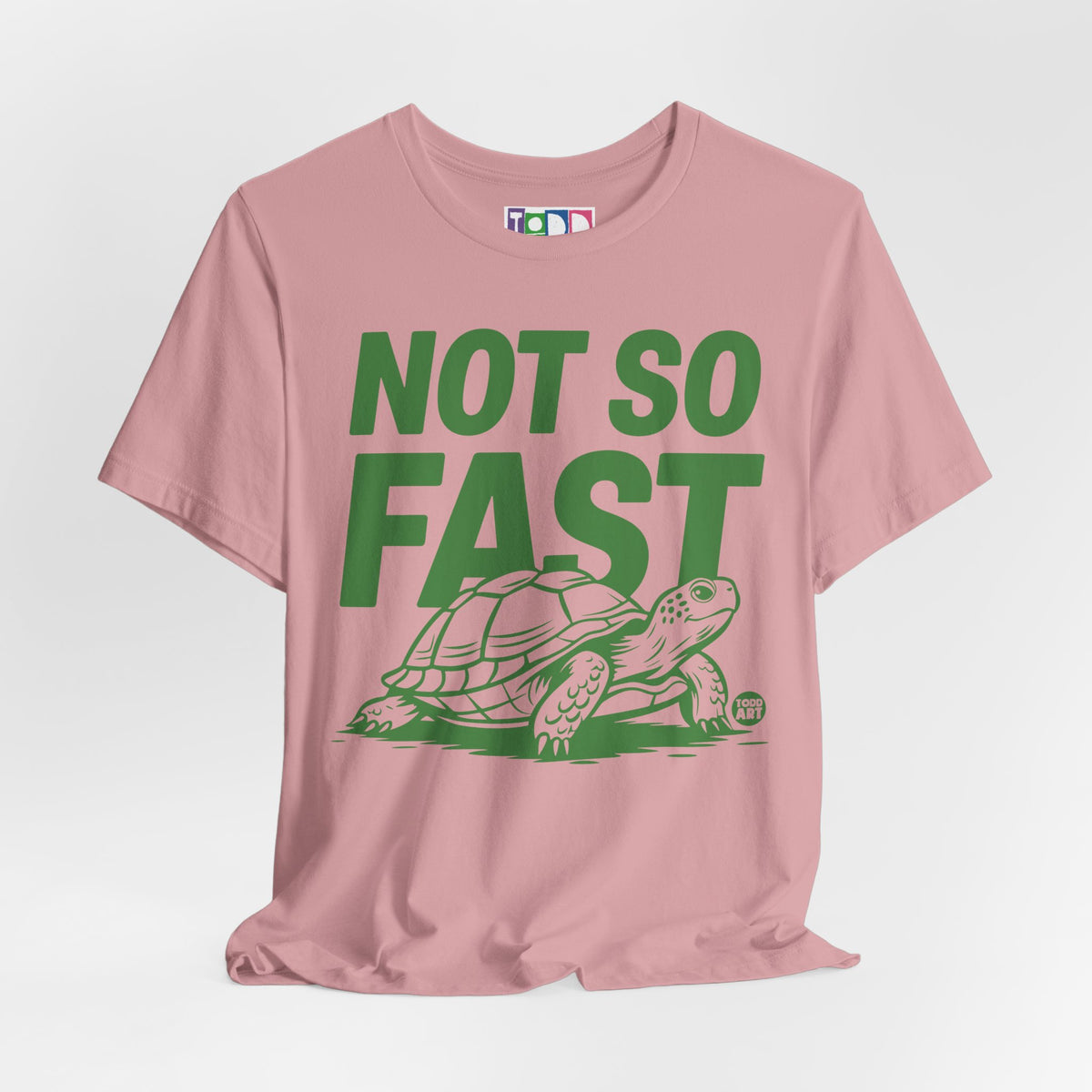 not-so-fast-turtle