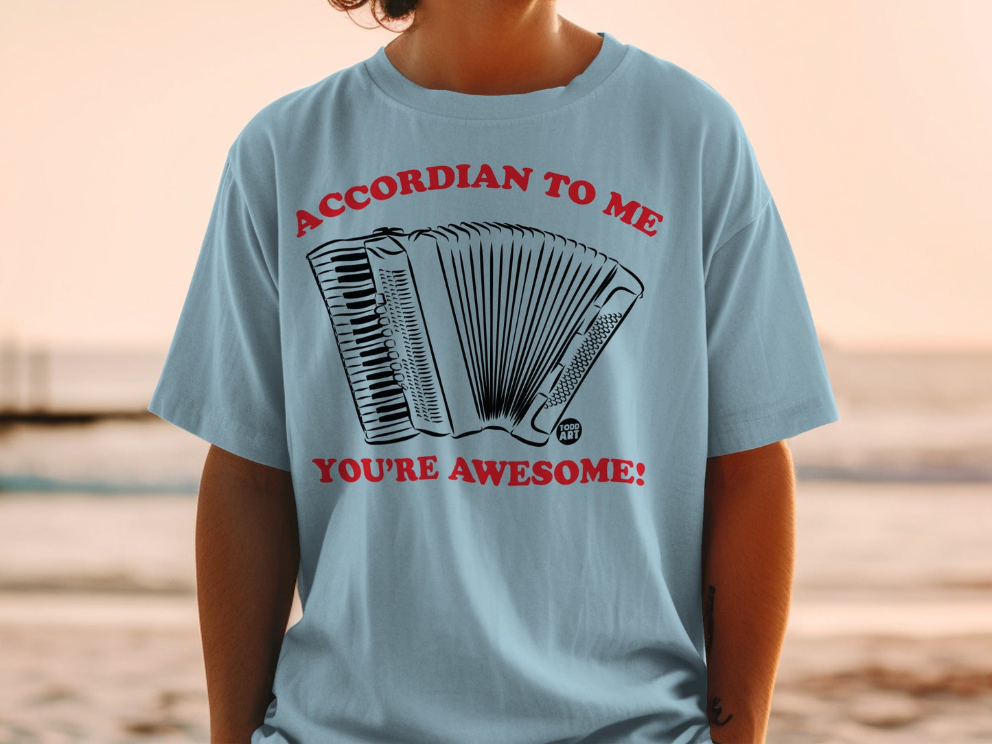 Light blue t-shirt with accordion graphic and text "ACCORDIAN TO ME YOU'RE AWESOME!".