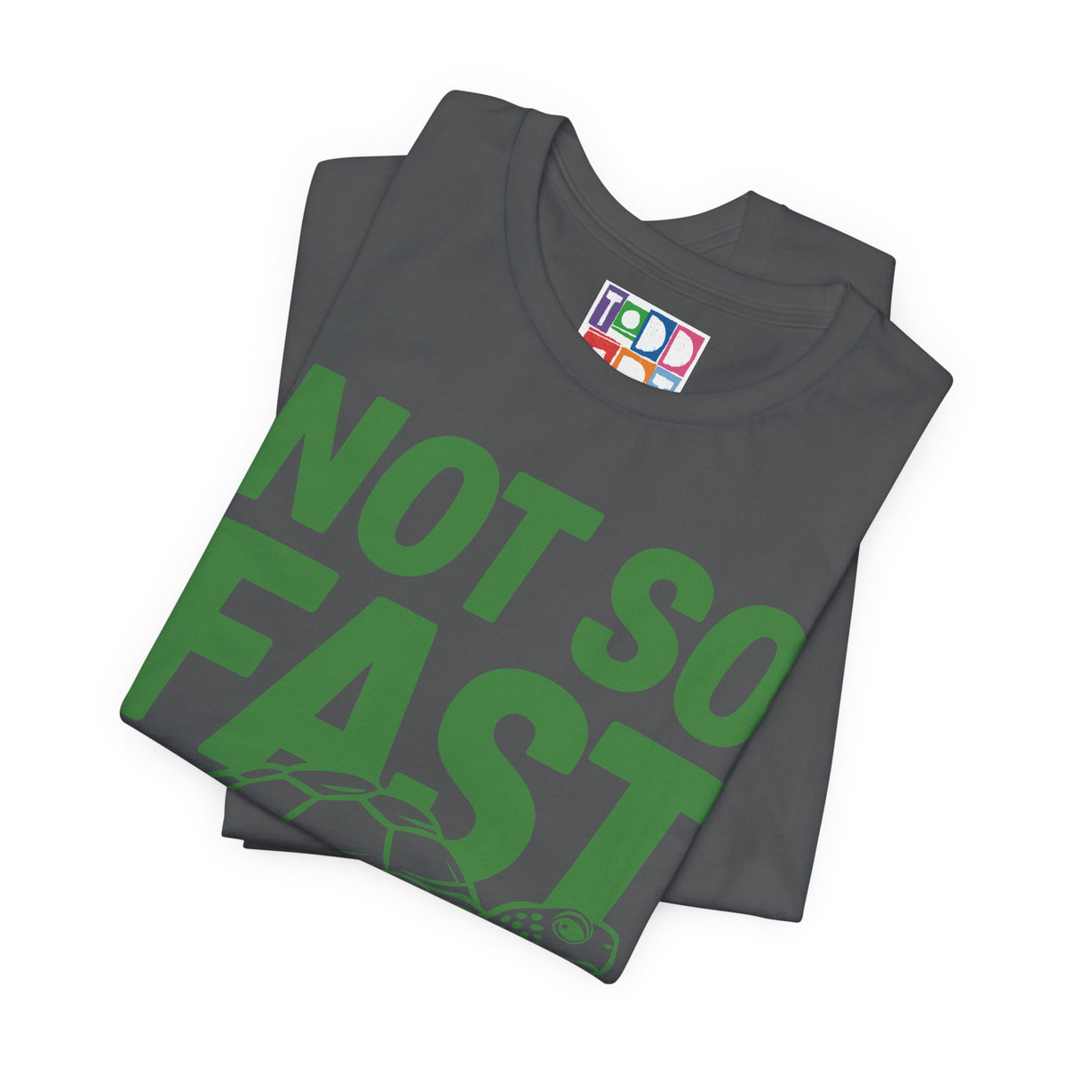not-so-fast-turtle