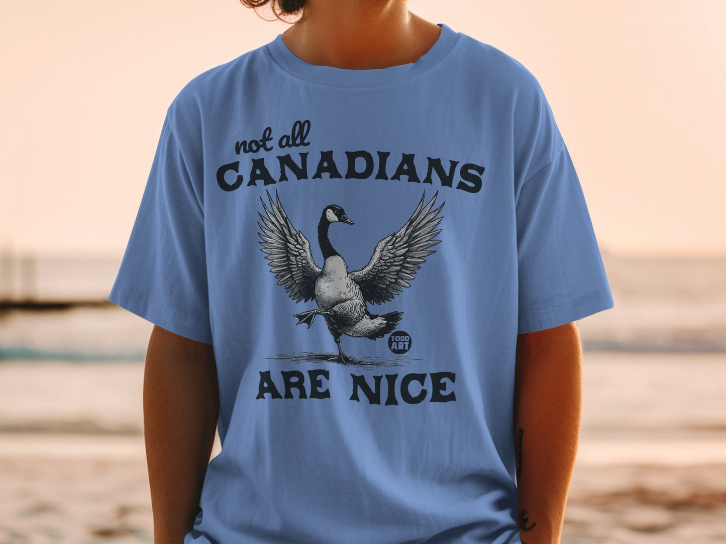 Not All Canadians Are Nice Goose Graphic T-Shirt