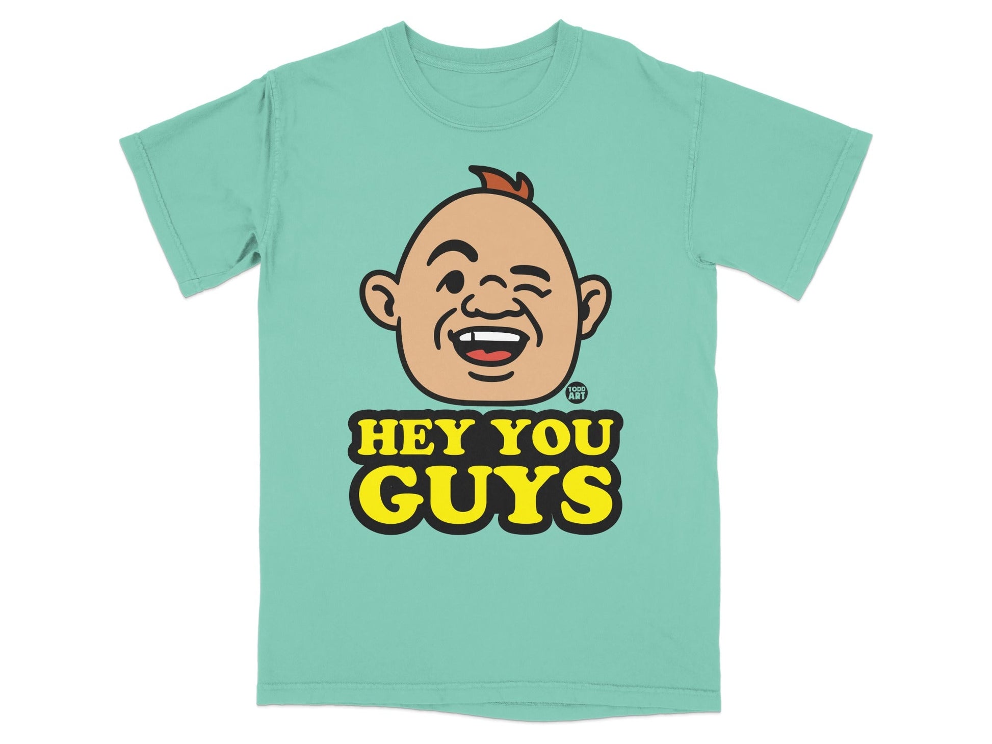 Teal t-shirt with cartoon face and "HEY YOU GUYS" text.