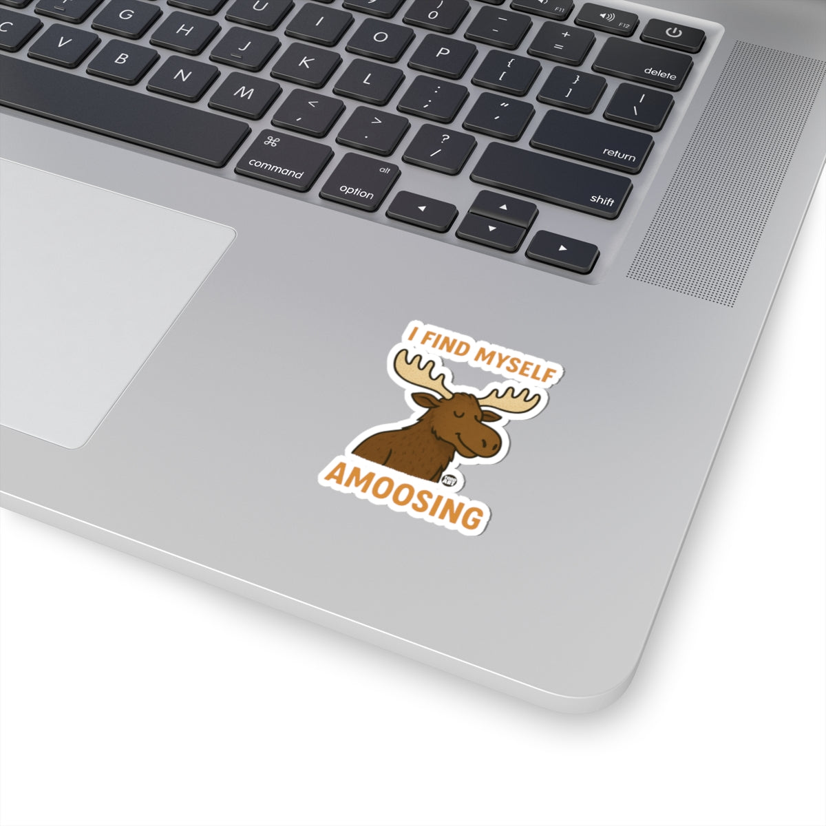 Amoosing Self DiscoveryTodd Art Sticker