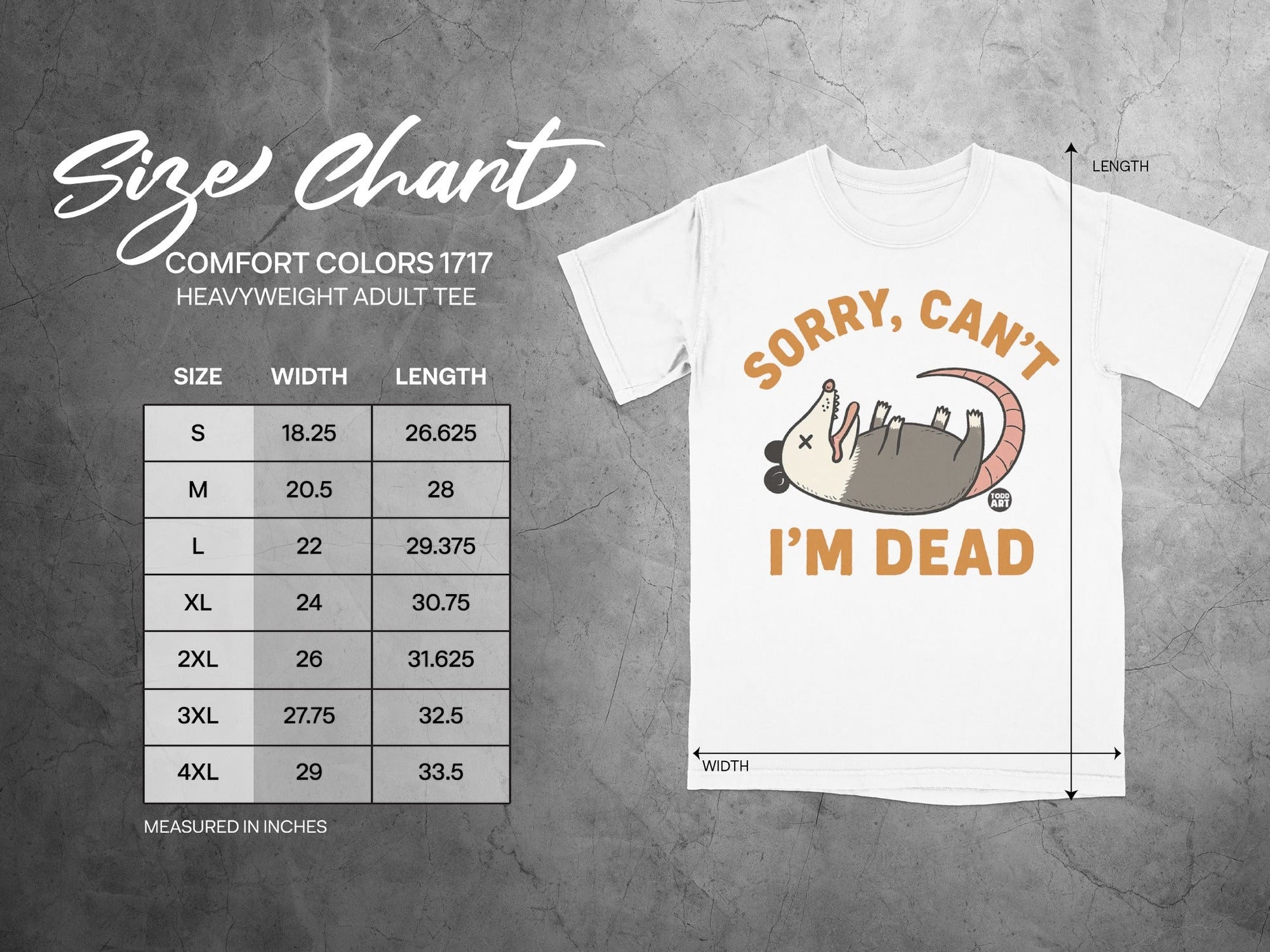 Comfort Colors 1717 heavyweight tee size chart showing width and length in inches.