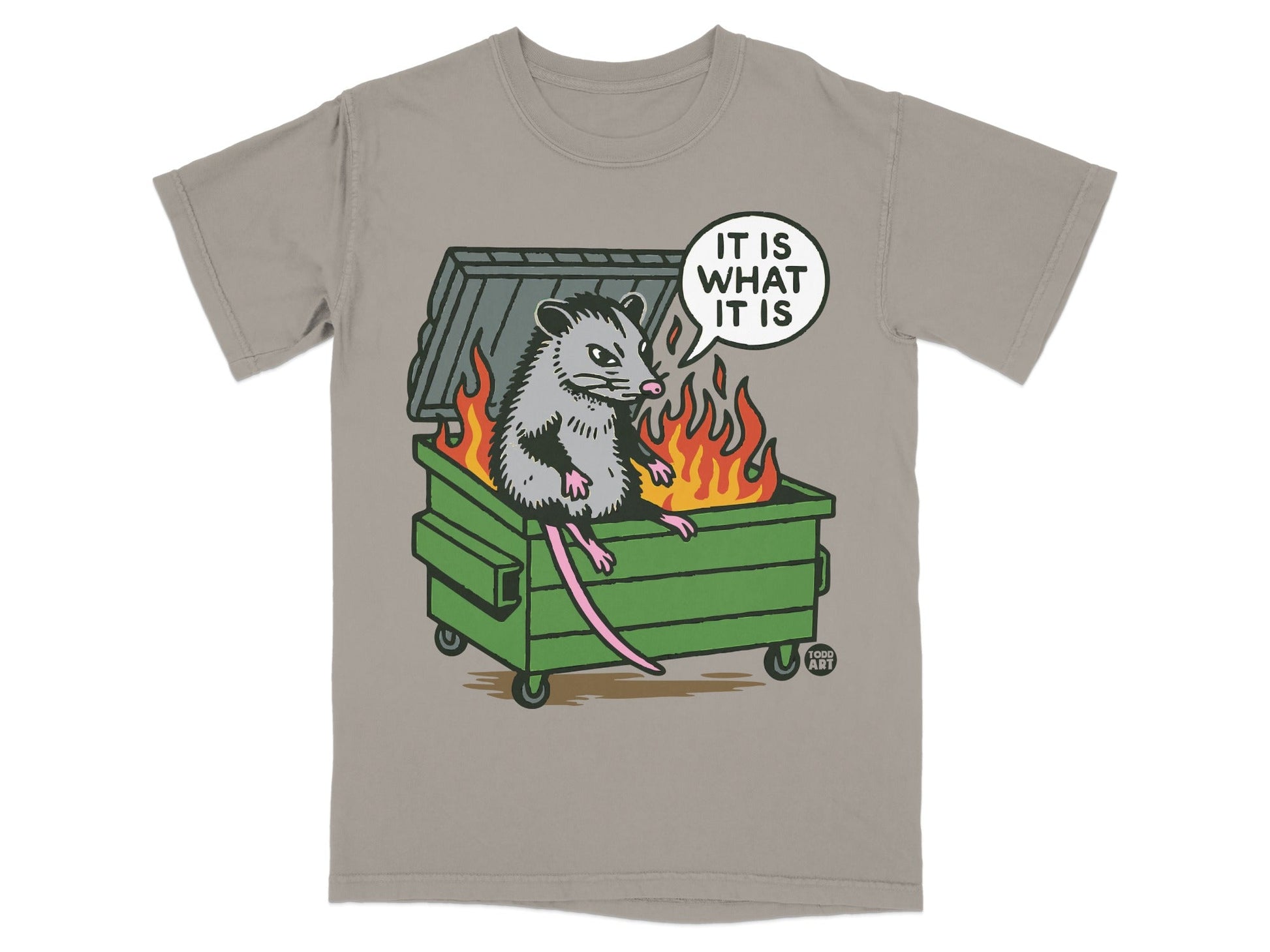 Opossum sitting in a dumpster fire with "IT IS WHAT IT IS" text.
