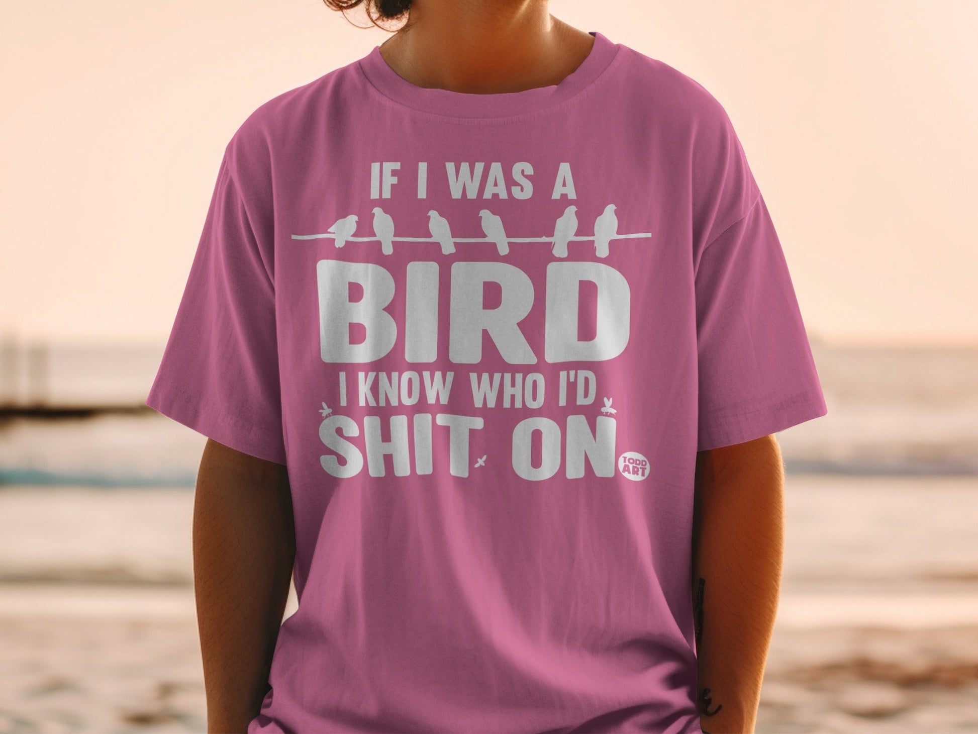 If I Was A Bird I Know Who I'd Shit On T-shirt