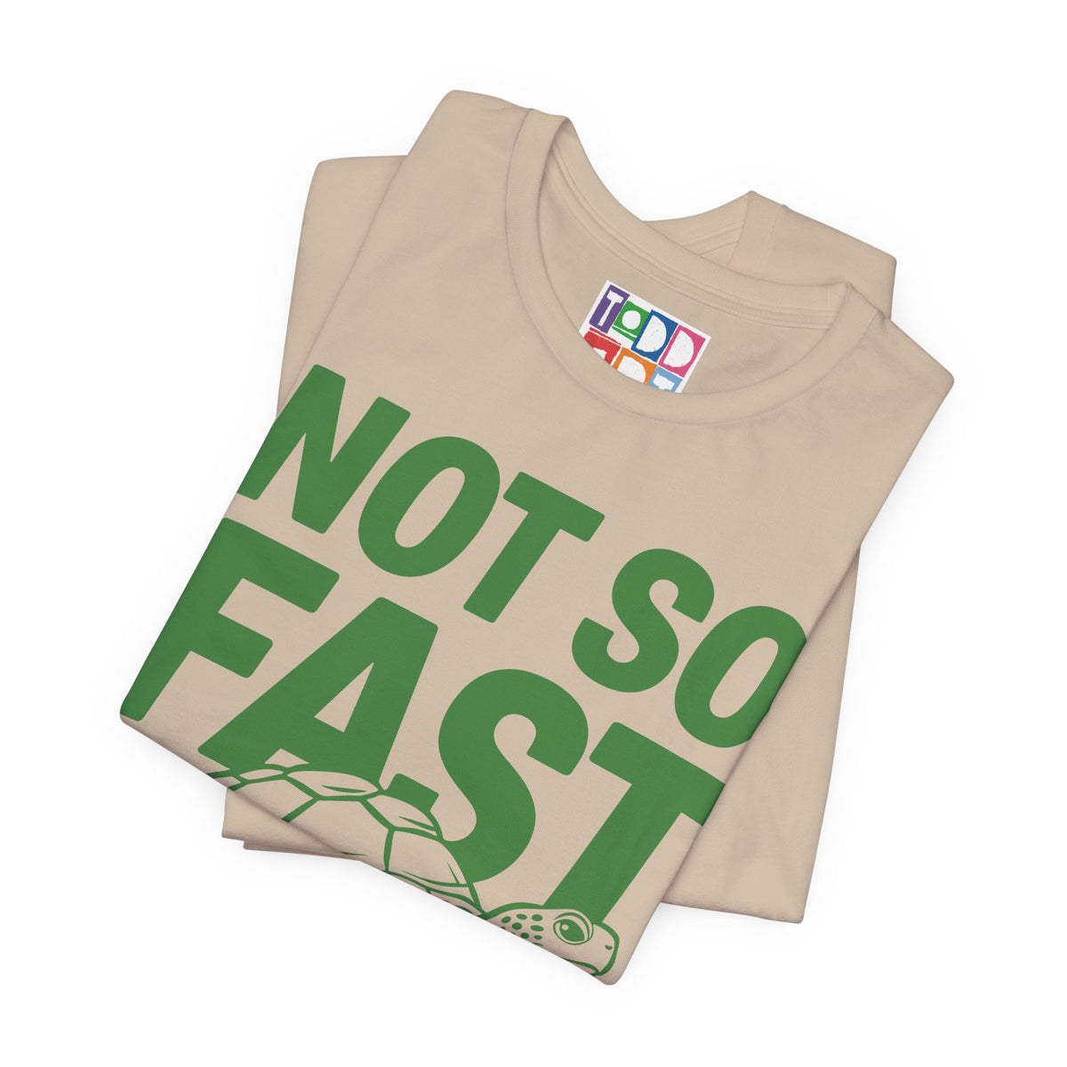 not-so-fast-turtle